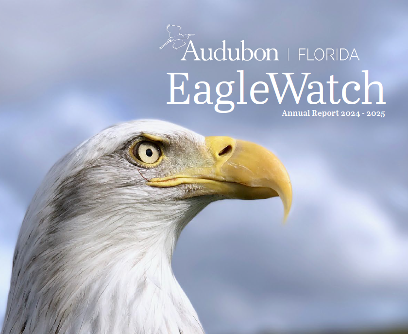 The cover of the EagleWatch Annual Report featuring a Bald Eagle in profile.