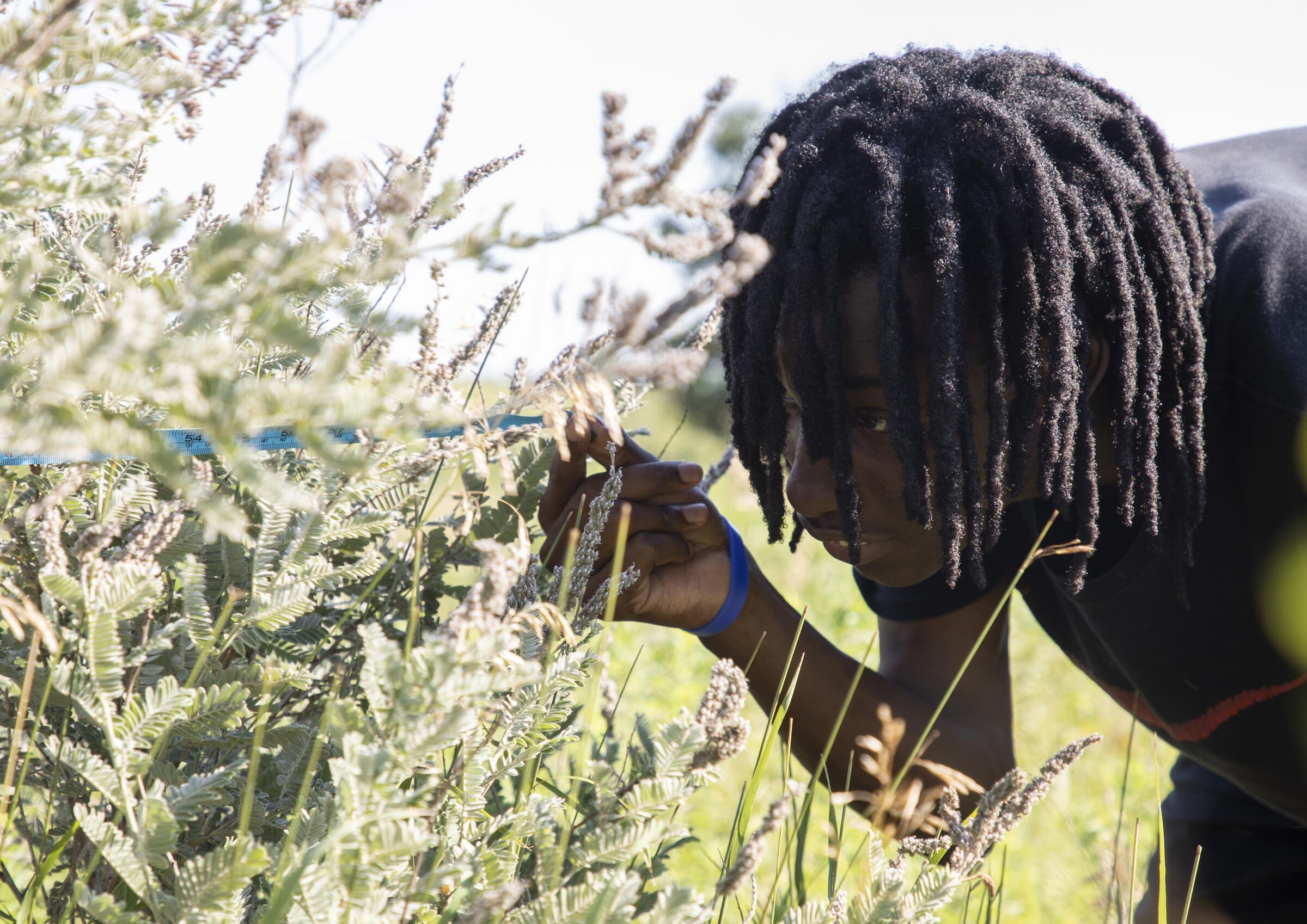 Student measuring plant 