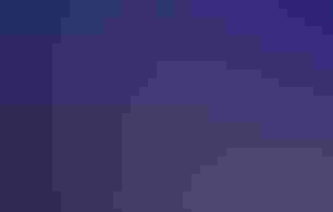 Four people on a stage, each holding a framed photograph