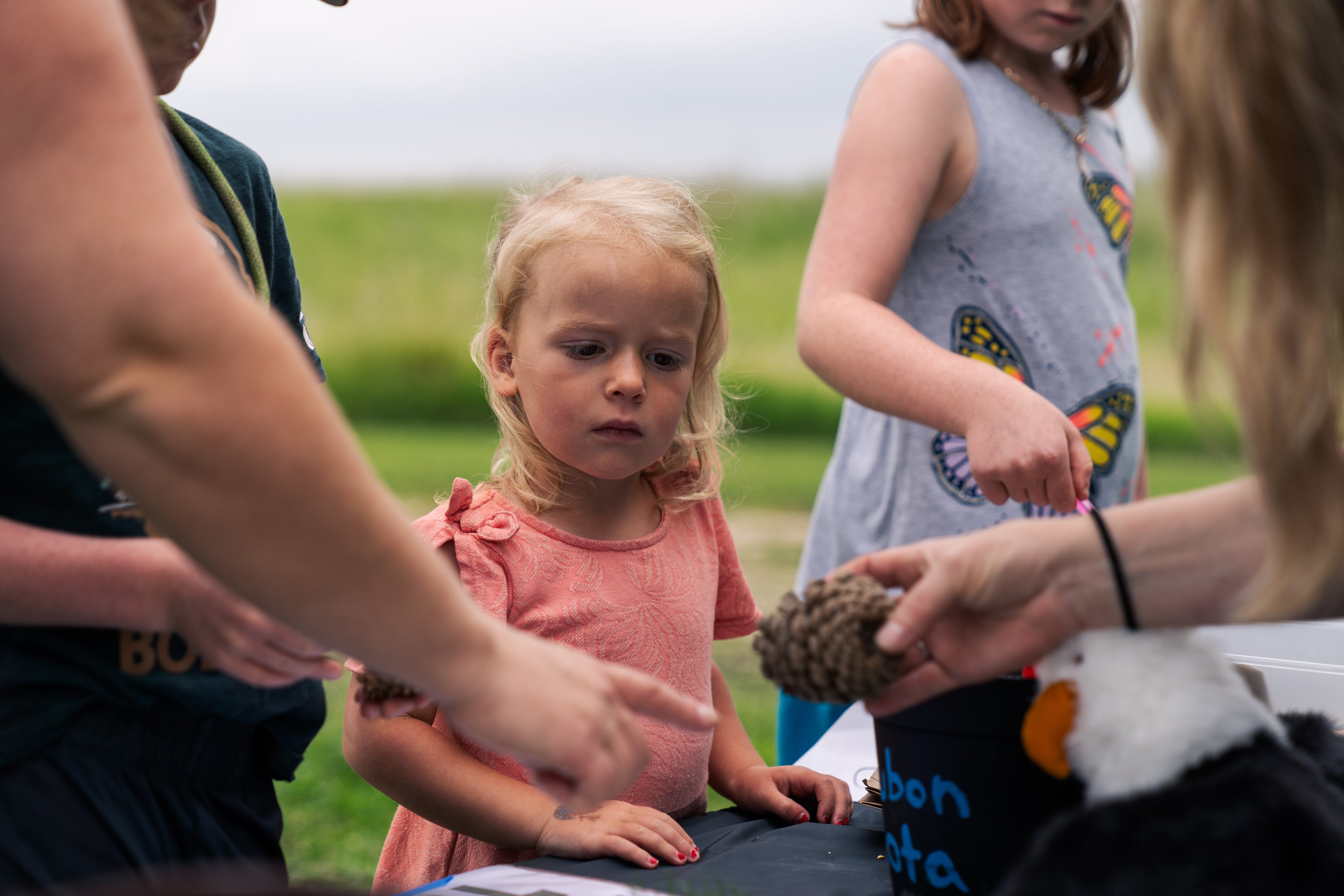 young child looking at nature items 