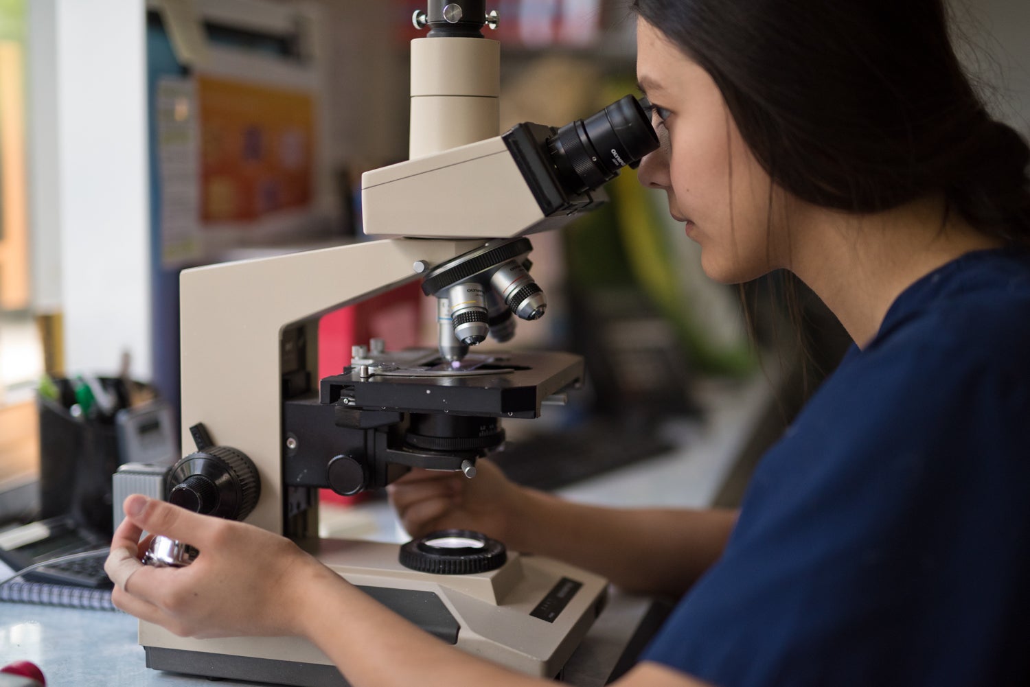 An intern looks through a microscope.