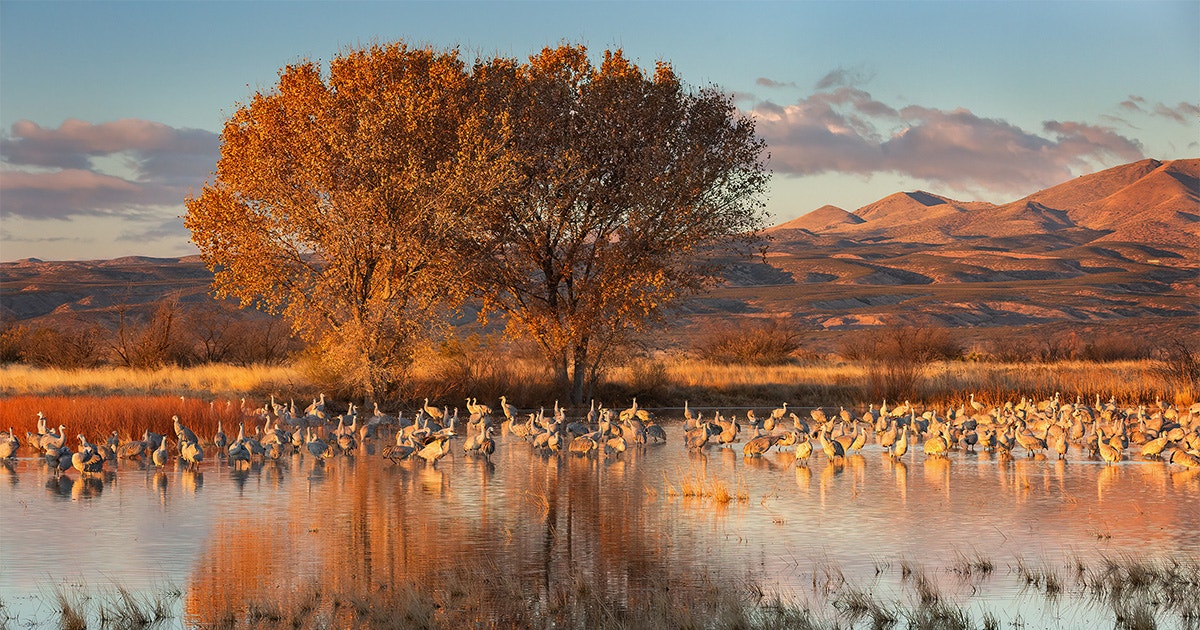 Take a Week to Celebrate America’s Most Outstanding Landscapes Take a Week to Celebrate America’s Most Outstanding Landscapes