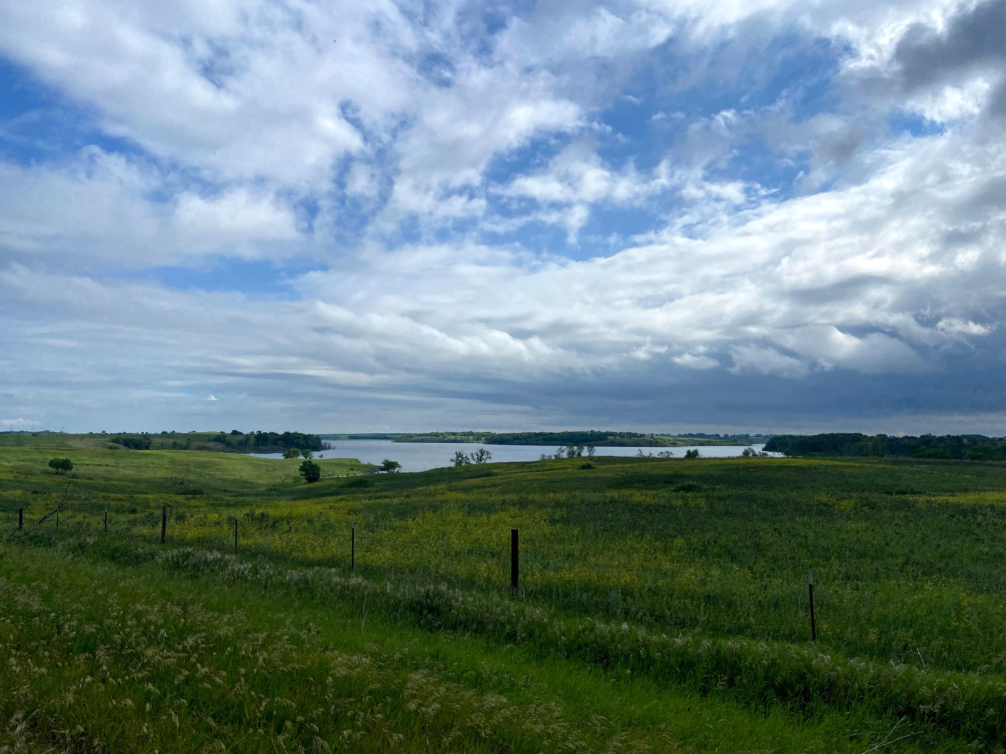 Blue skies and green grass