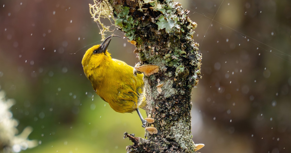 The Powerful Act of Noticing The Powerful Act of Noticing