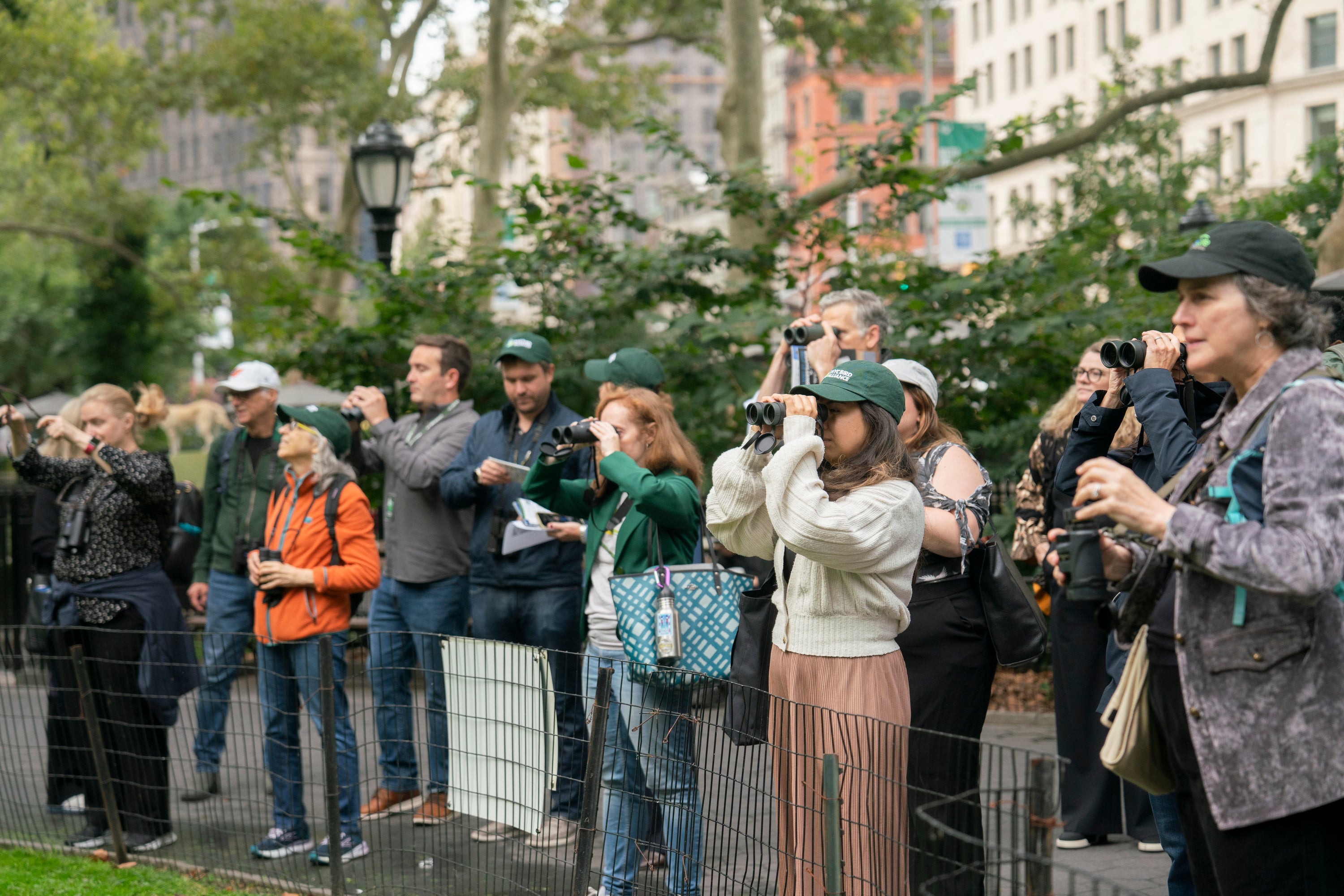 People birding in a city. Photo: Sydney Walsh/Audubon