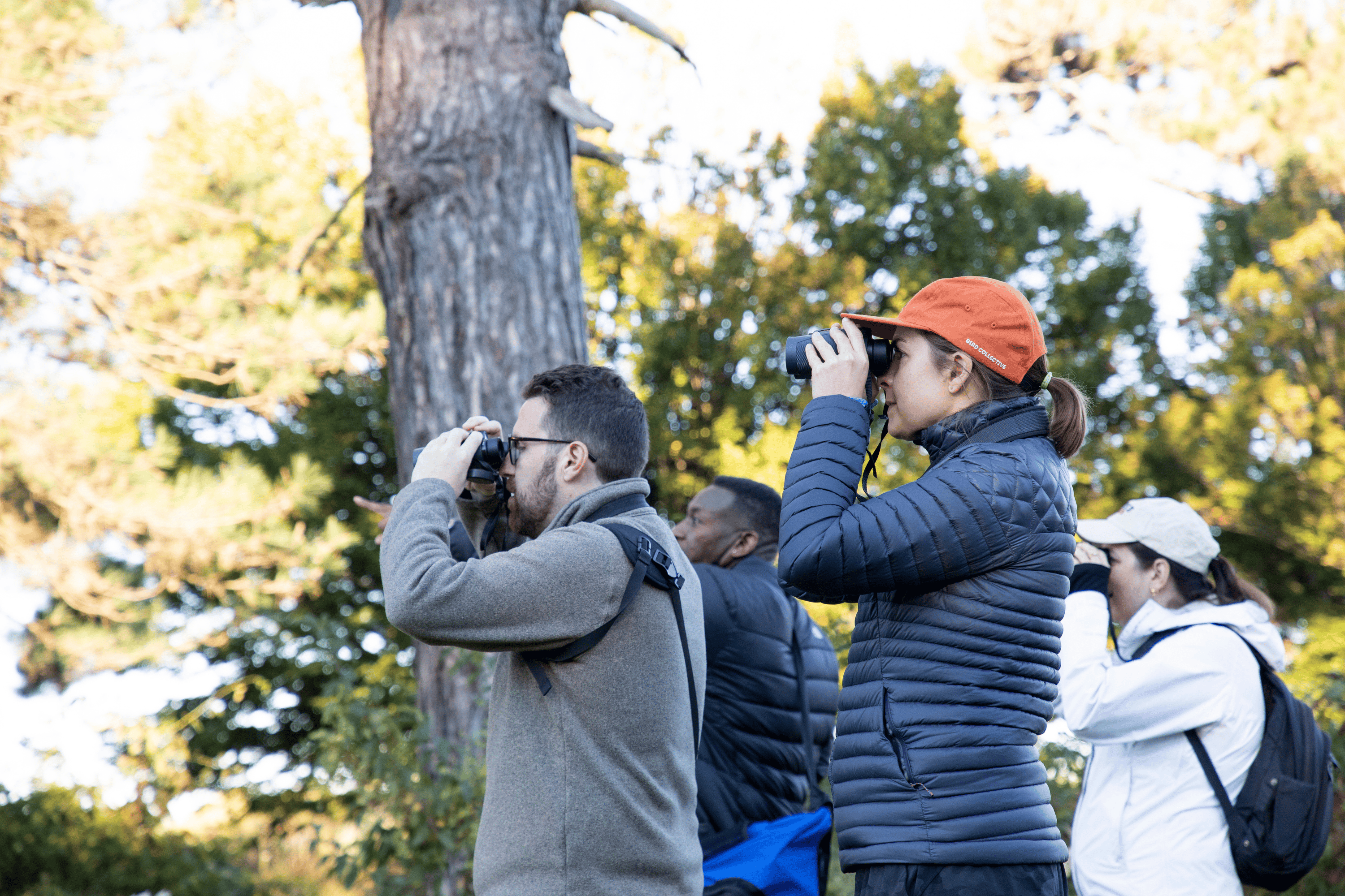 A group of people using binoculars to look at birds. Behind them are trees.