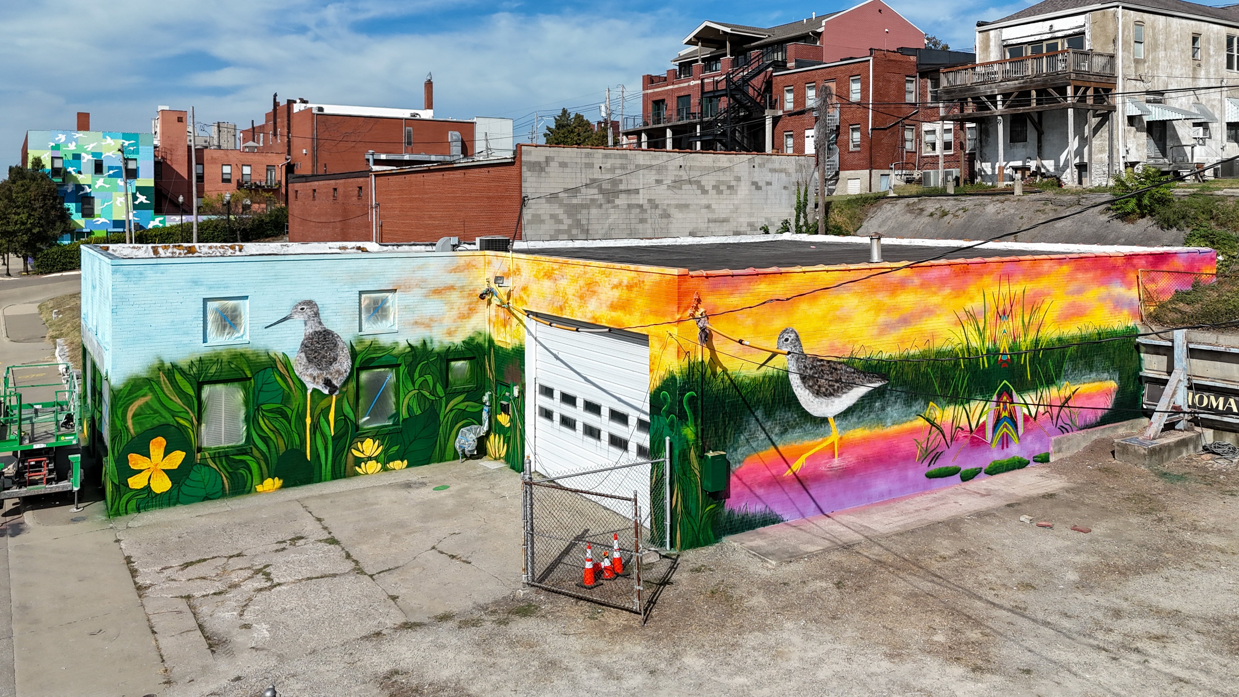 Aerial view of a colorful mural of two Lesser Yellowlegs painted on a brick building.