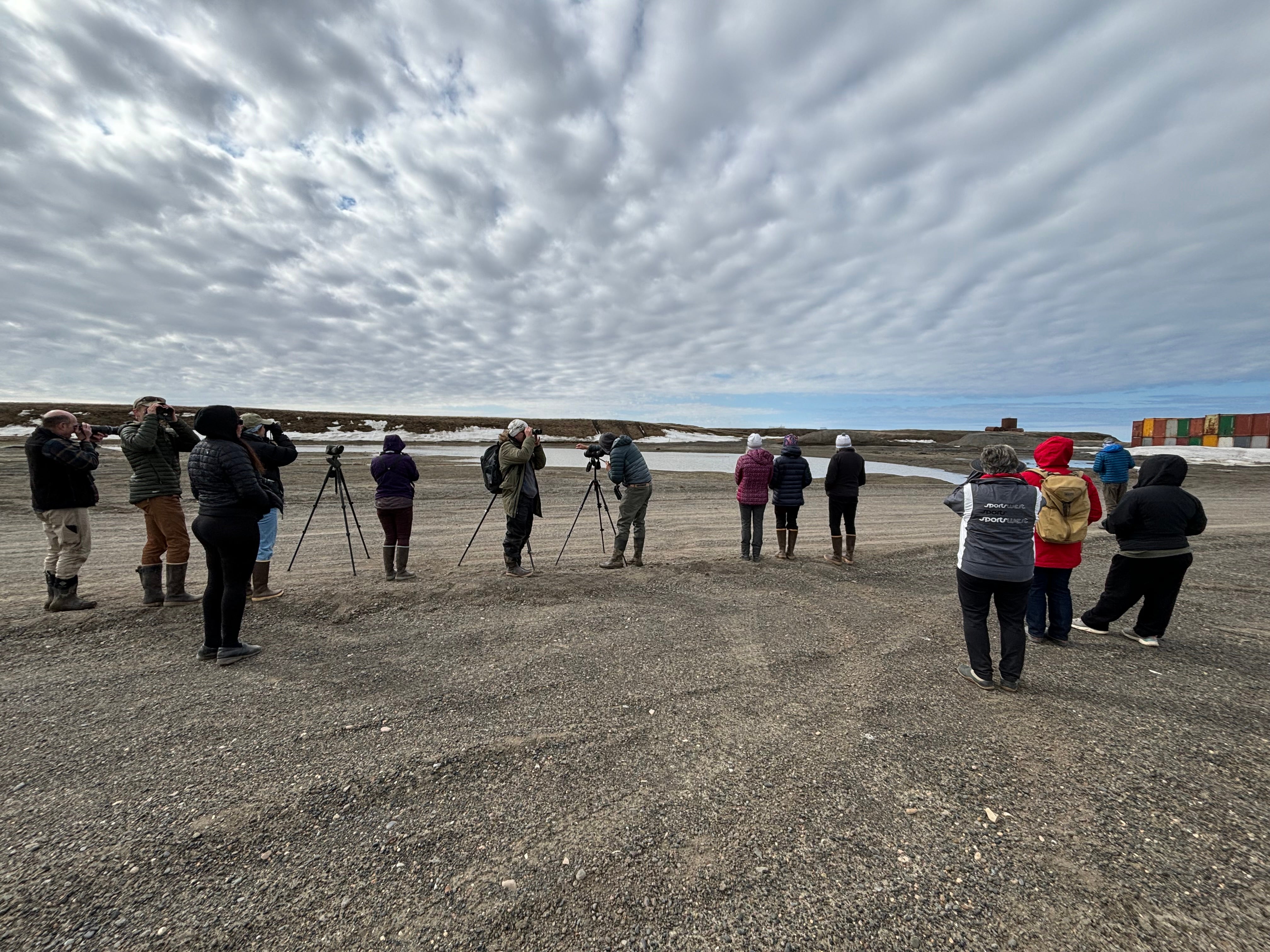 People with binoculars outside on gravel
