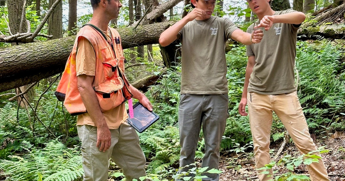 18 Wood Thrush Indicate a Healthy Forest 18 Wood Thrush Indicate a Healthy Forest