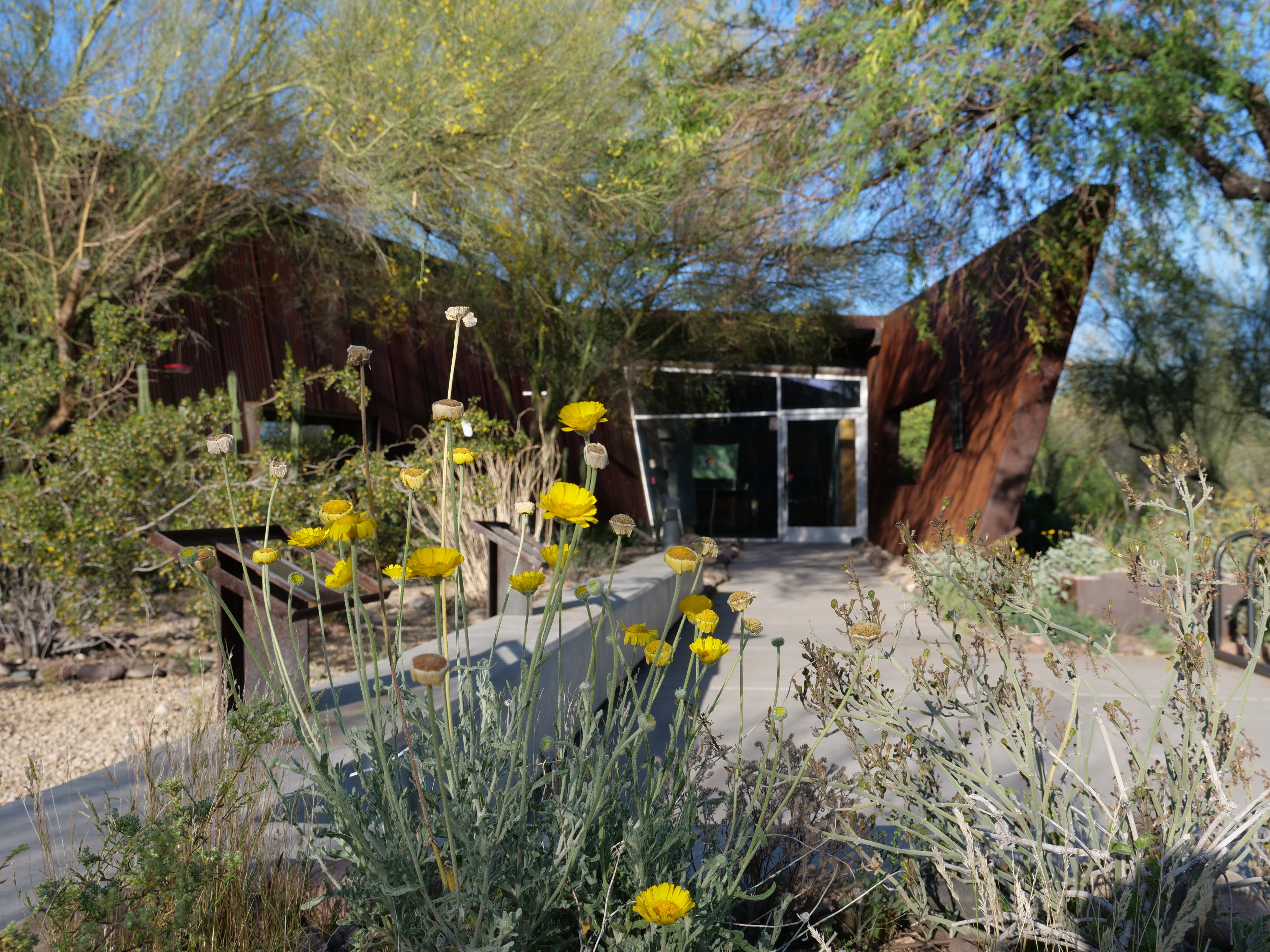 Rio Salado Audubon Center Photo: Danny Roper-Jones/ Audubon Southwest