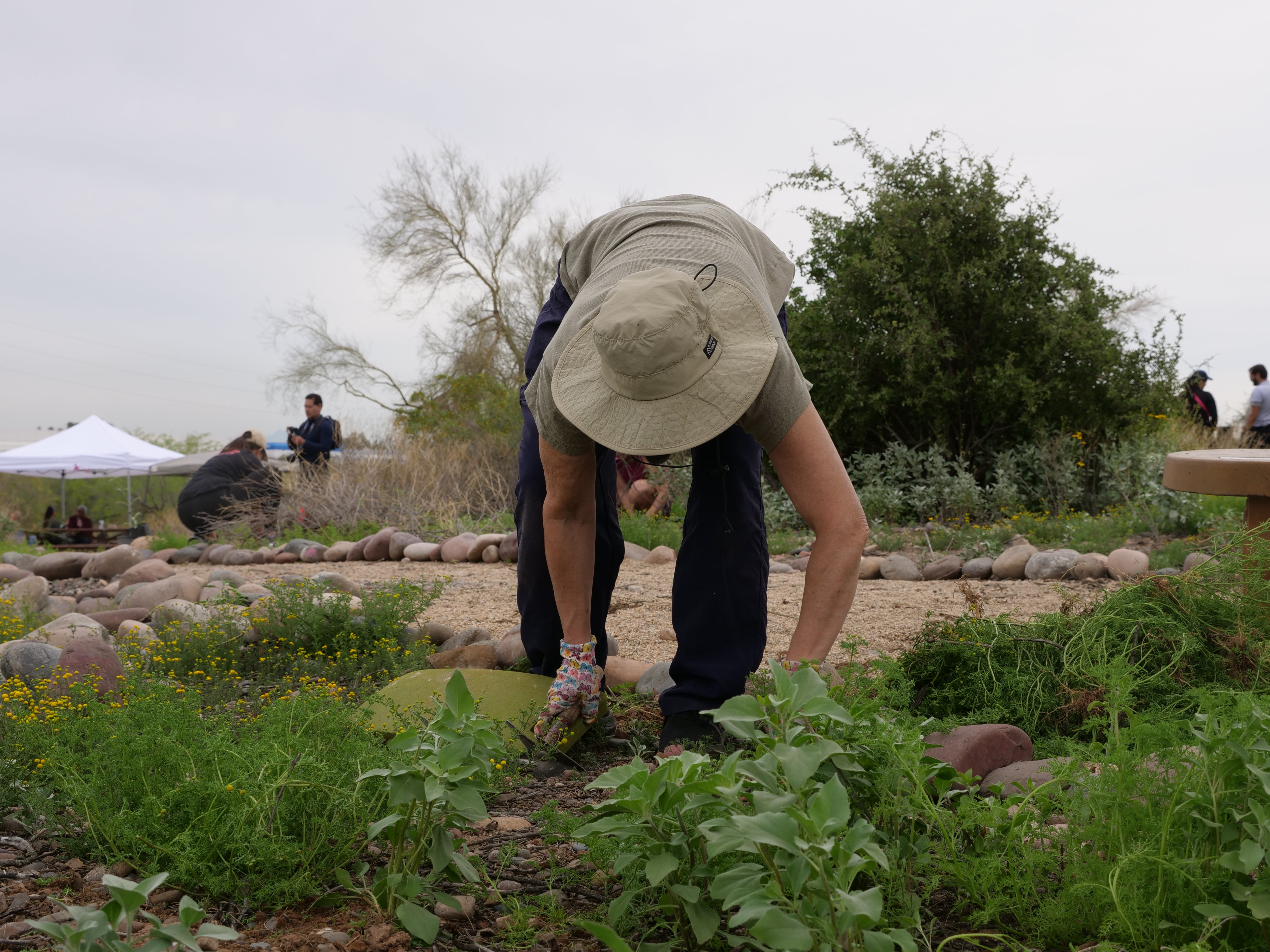 Volunteer planting. Photo: Danny Roper-Jones/ Audubon Southwest