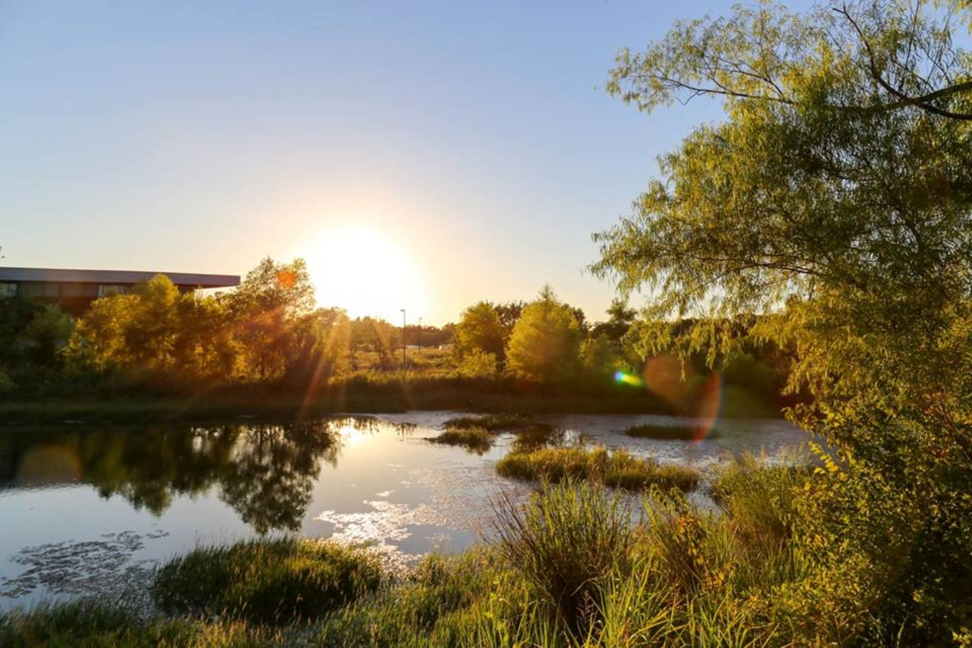 Trinity River Audubon