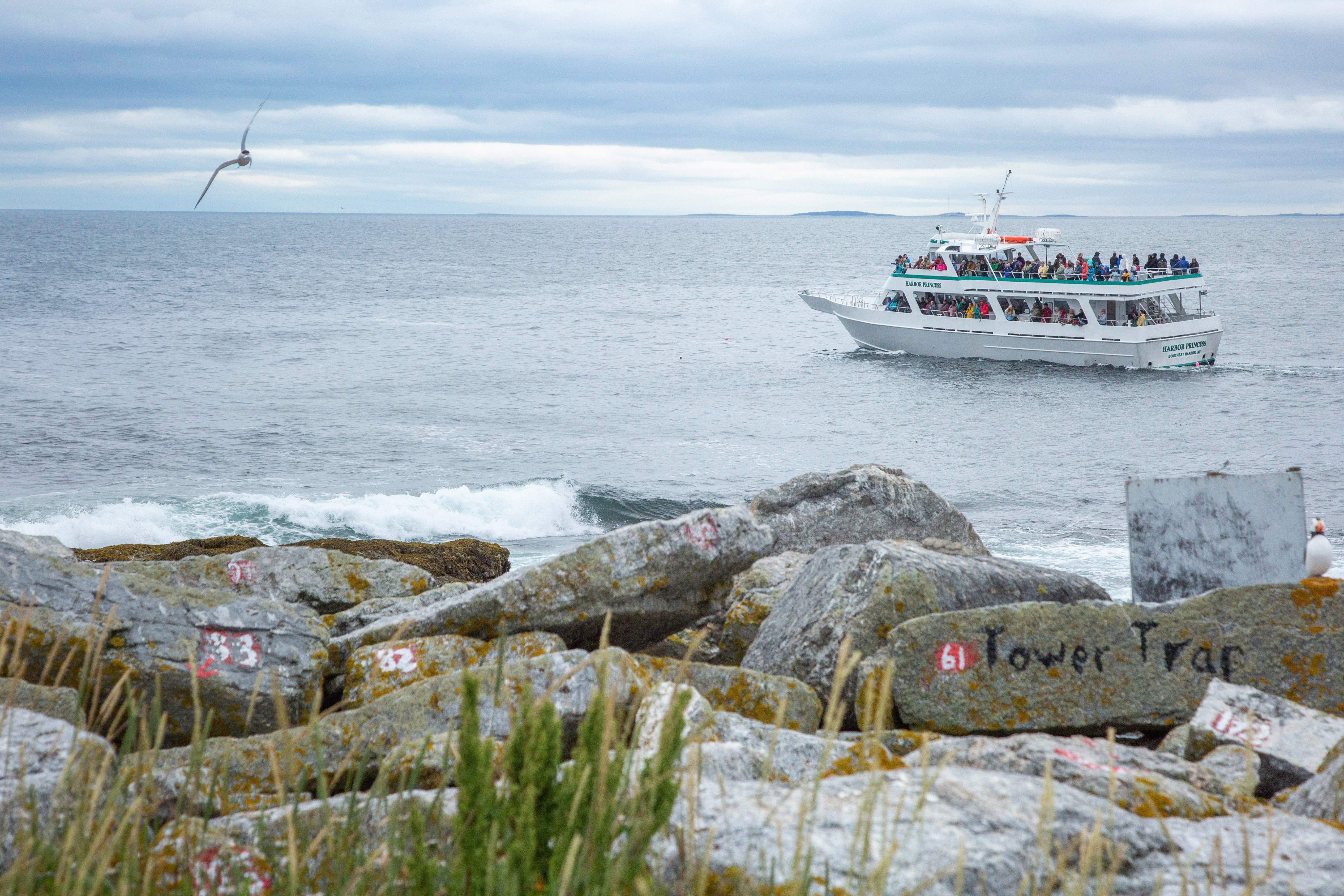 A rocky shoreline with a tour boat floating offshore.
