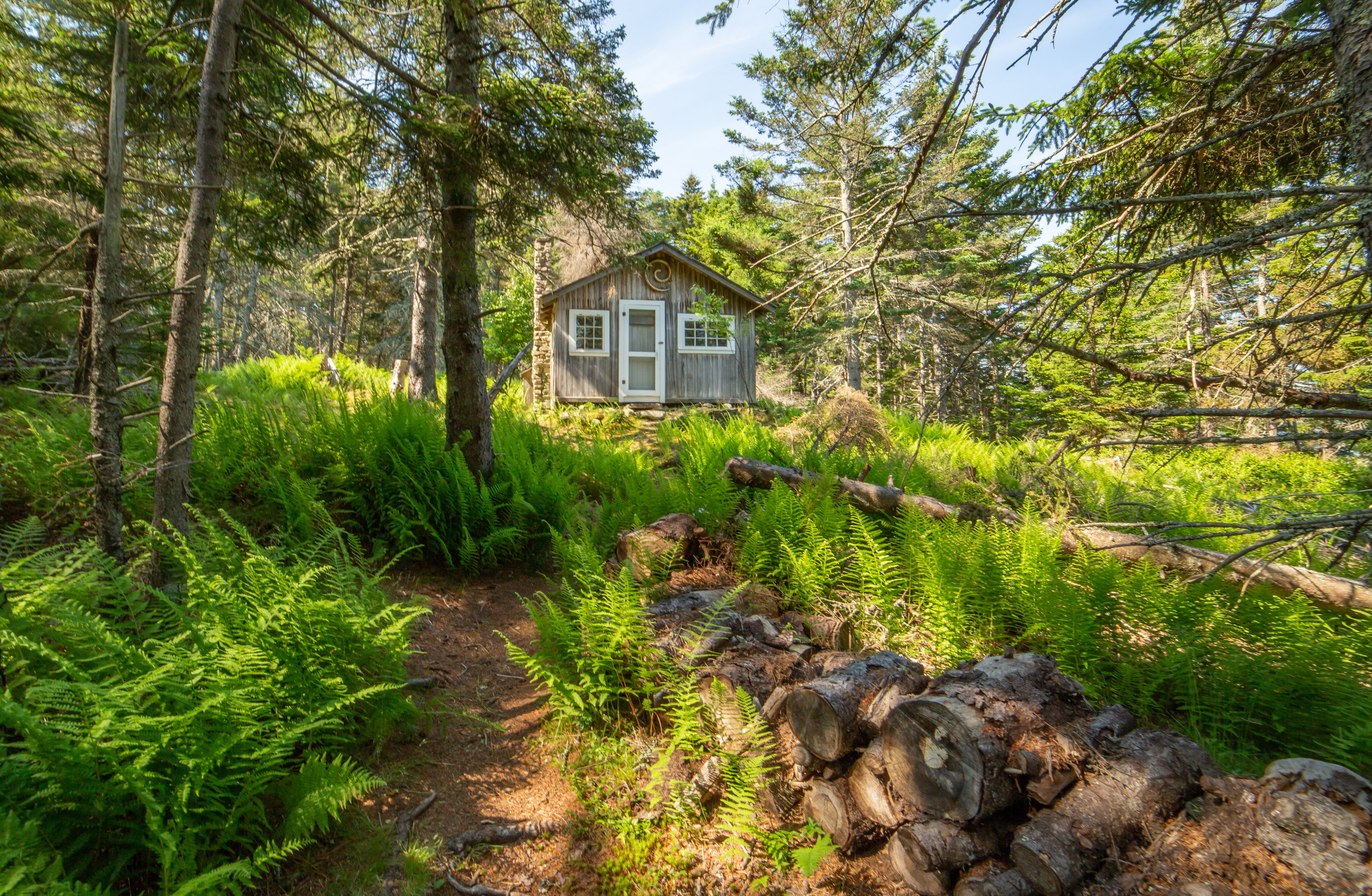 A building nestled in the woods