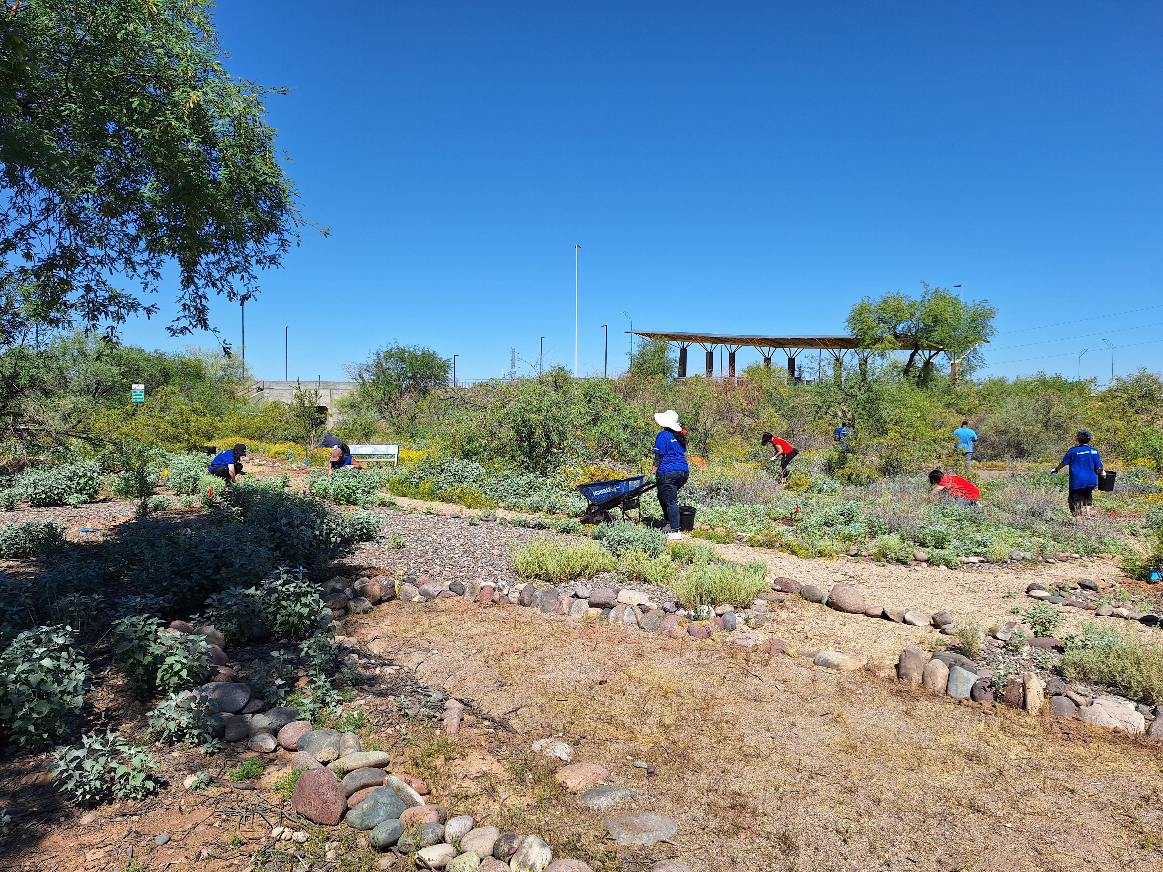Volunteers at planting day. Photo: Danny Roper-Jones/̽����ѡ Southwest