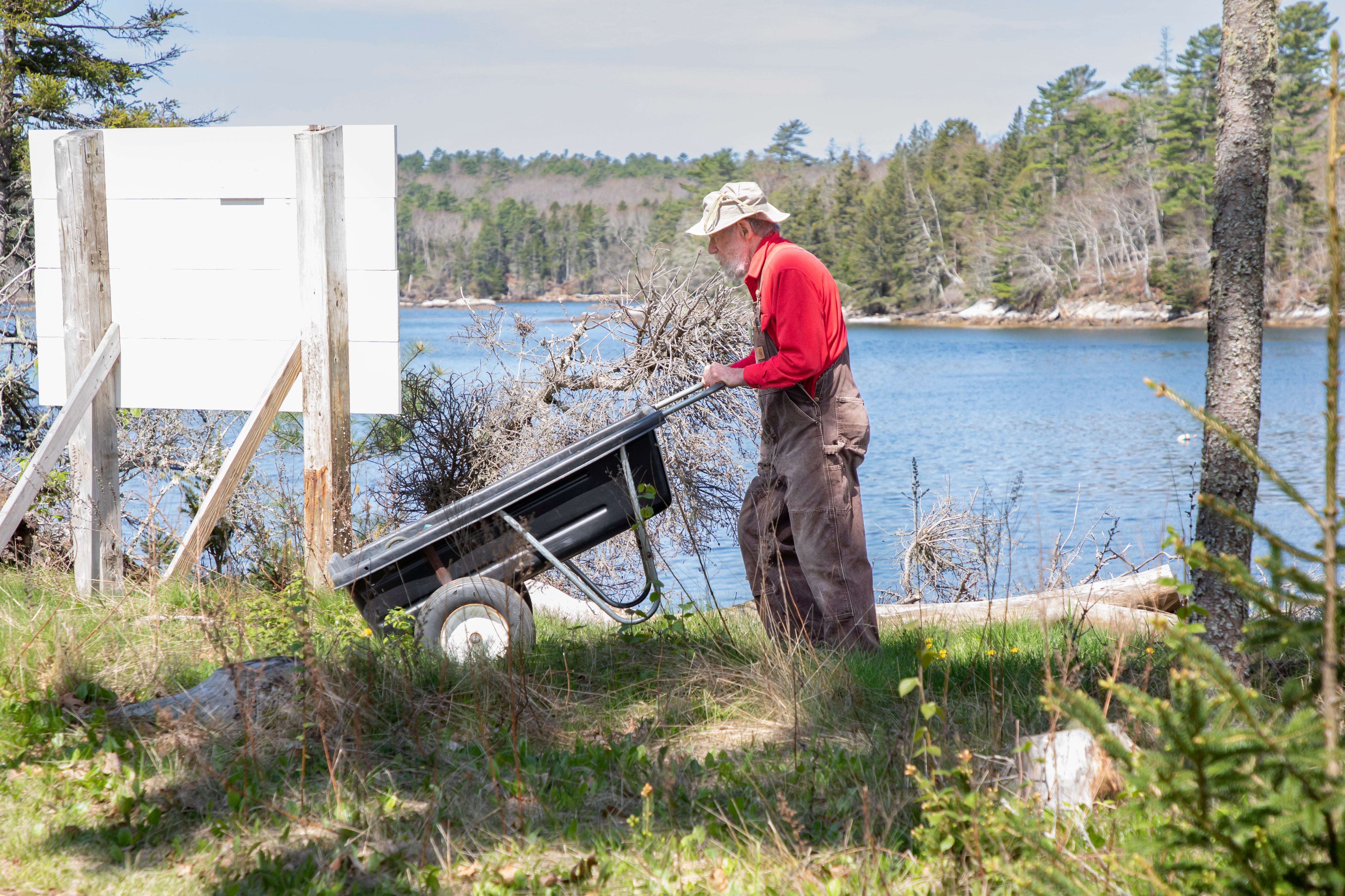 A person using a cart to move landscape scraps and brush.
