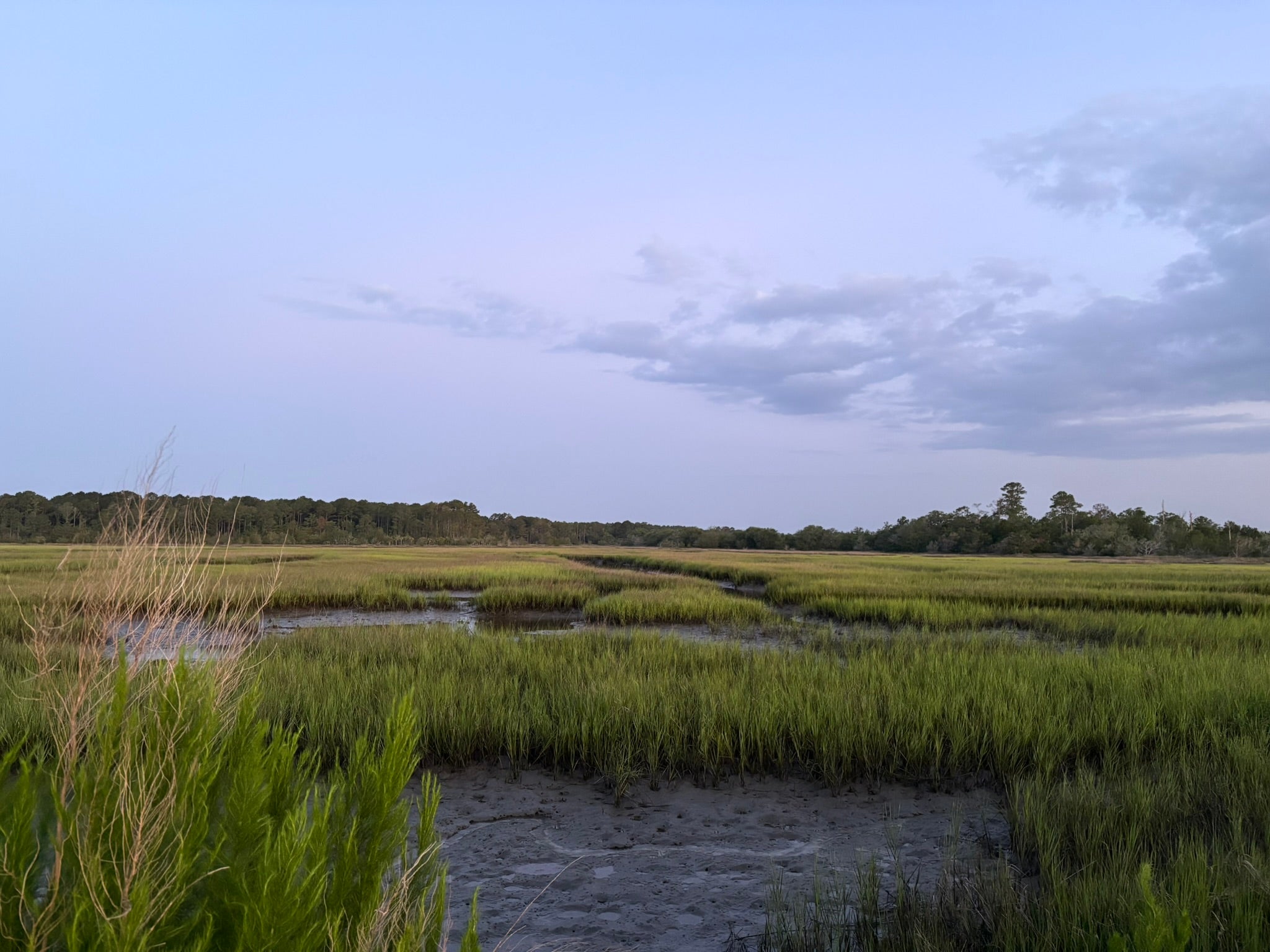 A blue sky above an expansive marsh with green marsh grass and tidal creeks