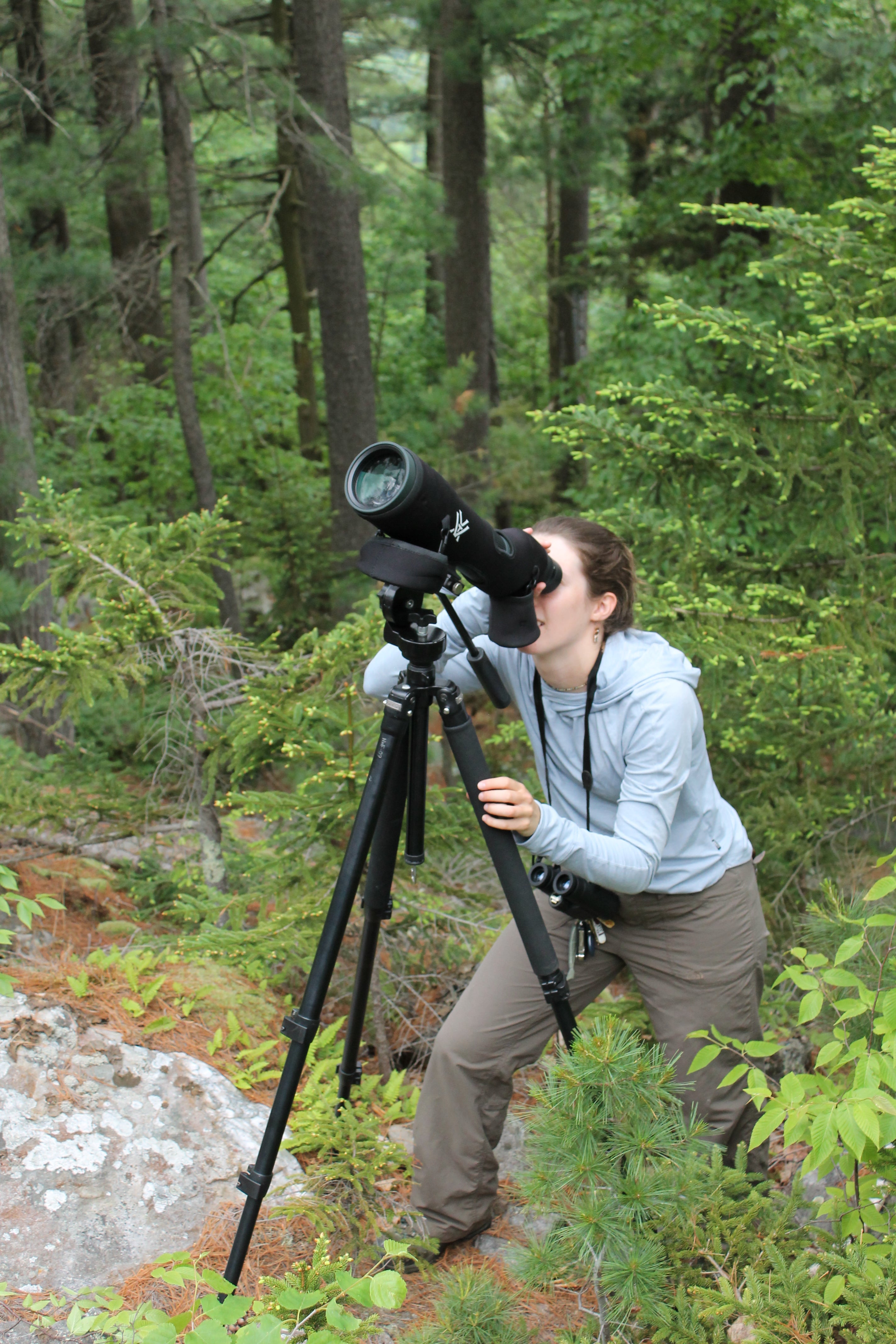 AmeriCorps member Cali looking through a scope set up in the woods. 