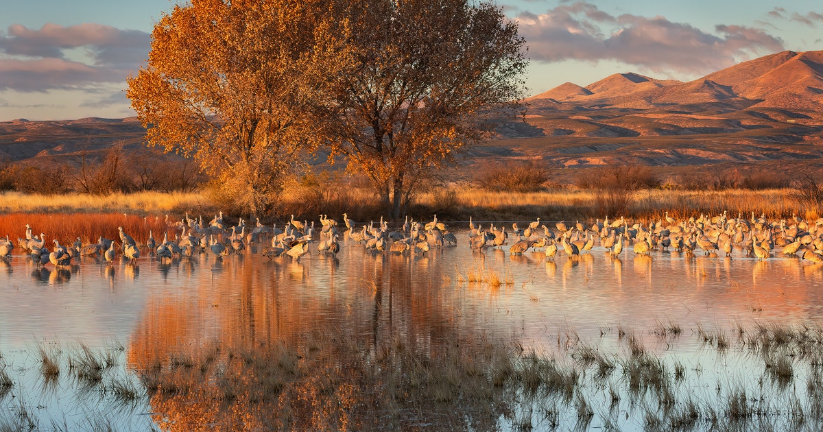 Colorado’s Chance to Continue to Lead: Protecting All Waters Under Regulation 87 Colorado’s Chance to Continue to Lead: Protecting All Waters Under Regulation 87