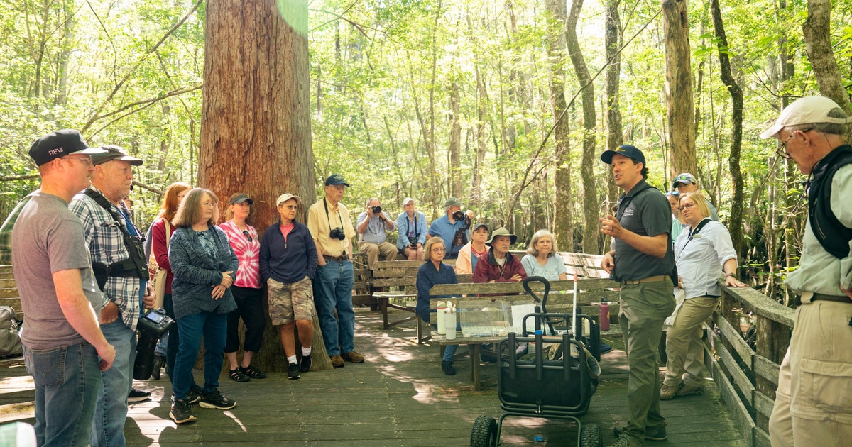 Audubon Center at Beidler Forest School Visits photo from the official site