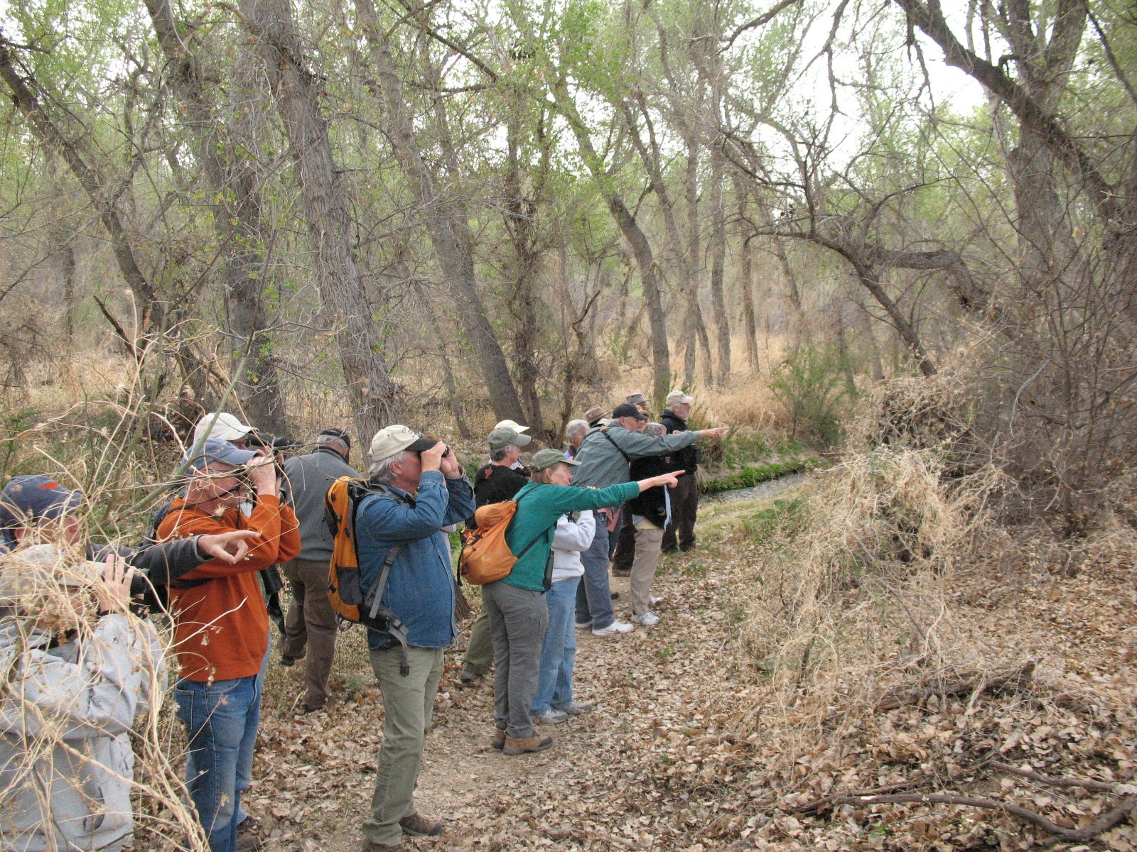 Bird watchers on the Santa Cruz River