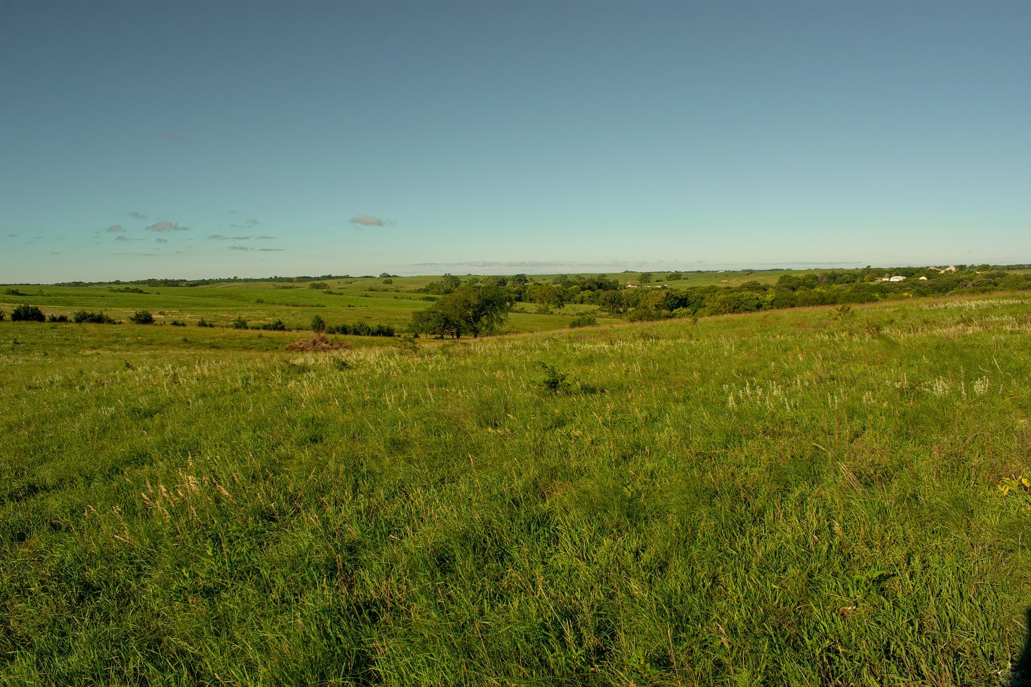 Green landscape with blue skies
