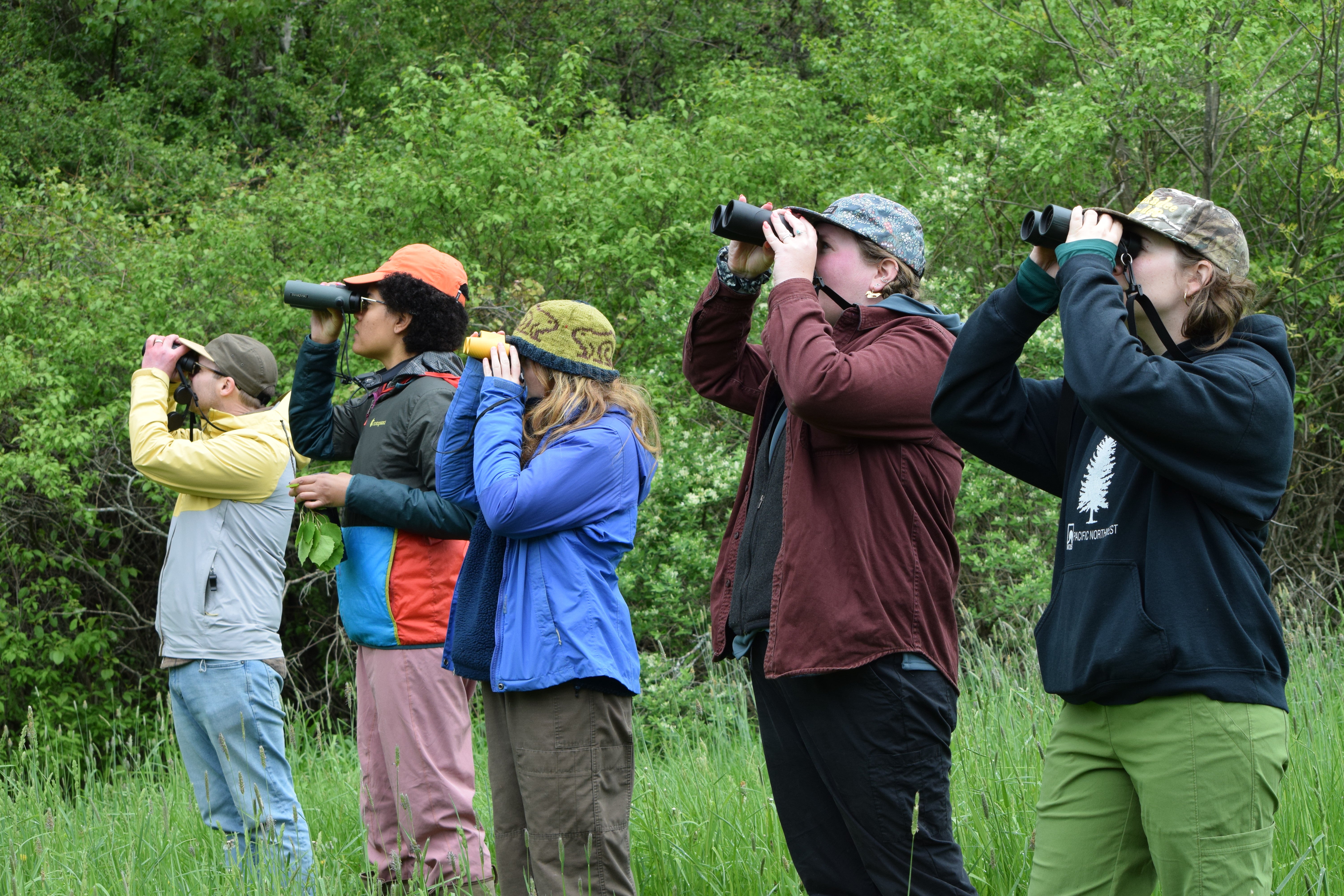 A group of people standing in a line in a grassy field, all looking off into the distance through binoculars. 