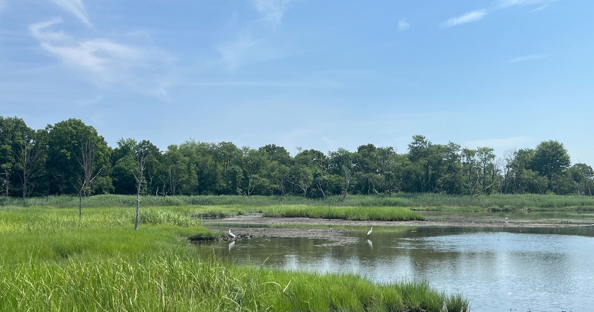 Sunken Meadow Restoration Gains Traction with .5 Million Award Sunken Meadow Restoration Gains Traction with .5 Million Award