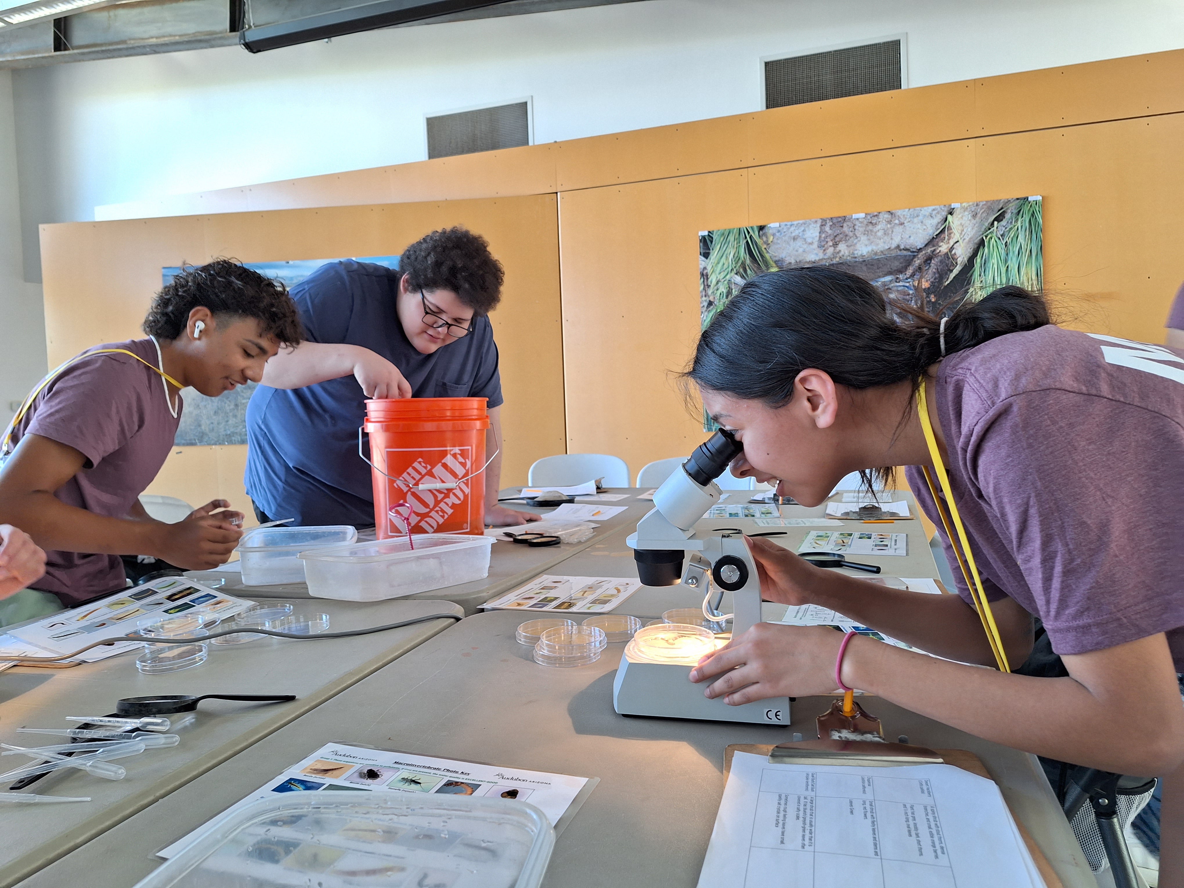 Looking through Microscope. Photo: Danny Roper-Jones/ Audubon Southwest