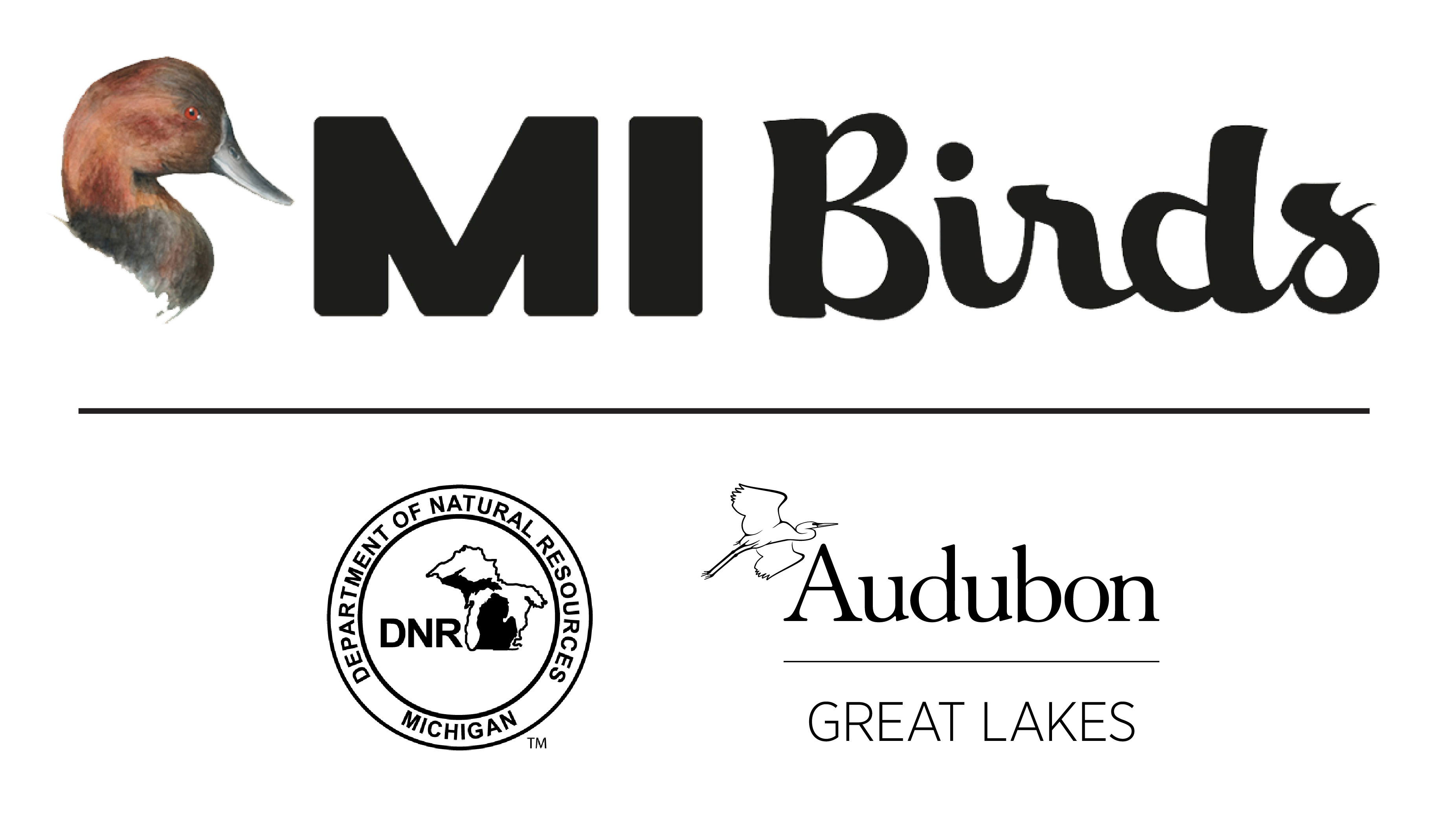 MI Birds logo