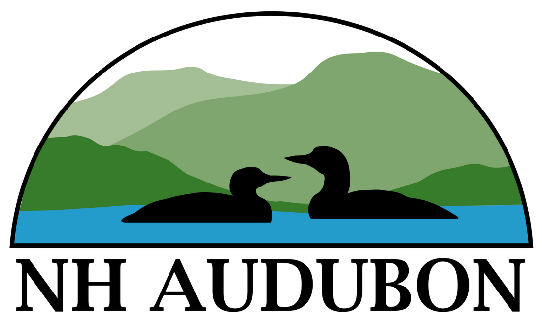 NH Audubon logo