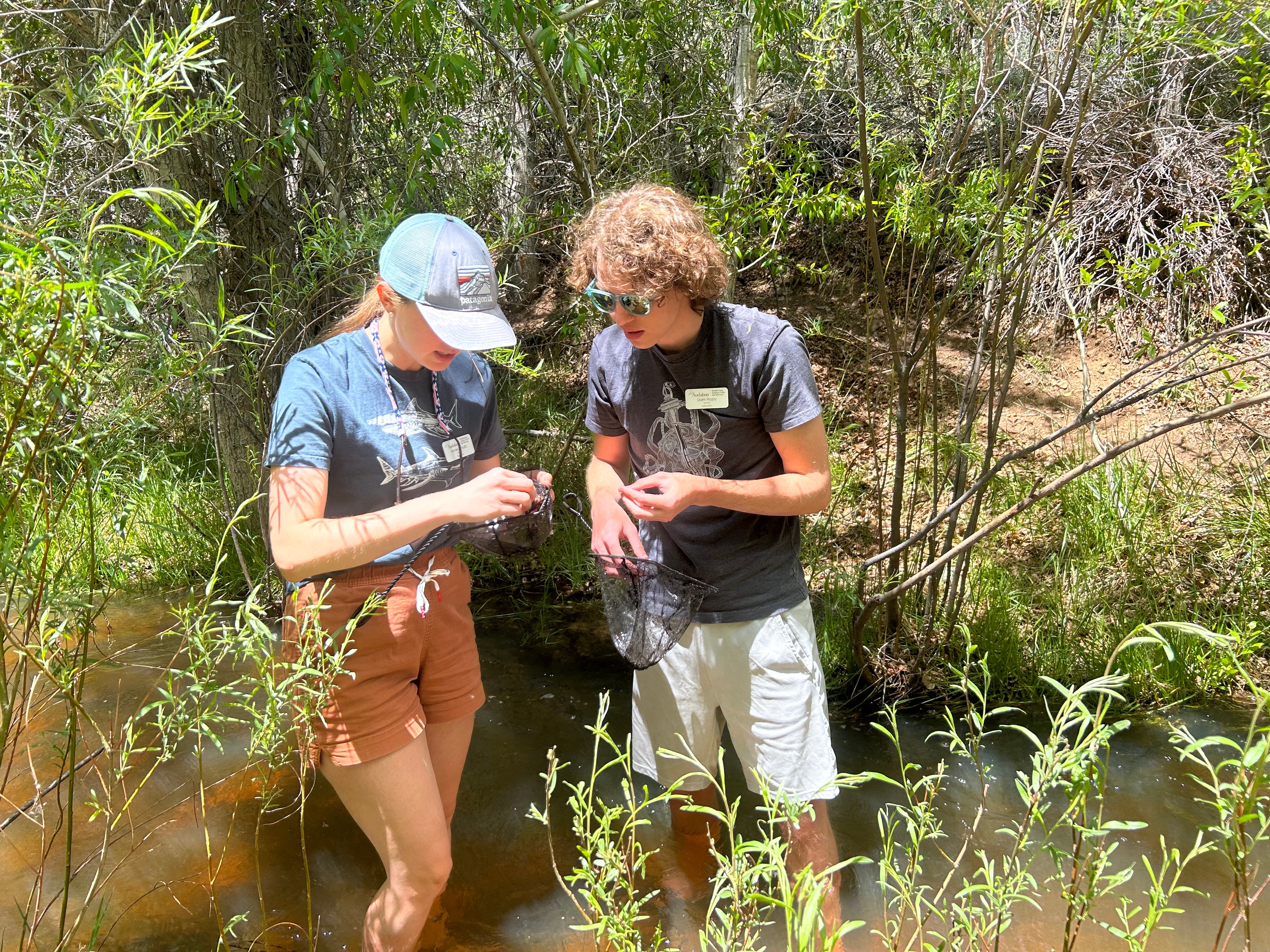 staff macroinvert sampling