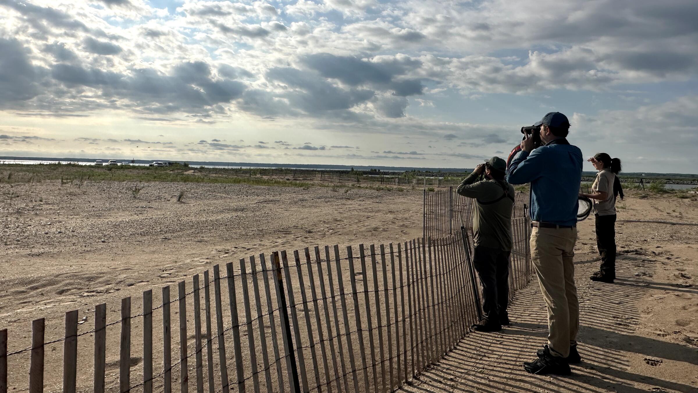 Monitors look through binoculars at Great Lakes Piping Plover nesting area at Cat Island. 