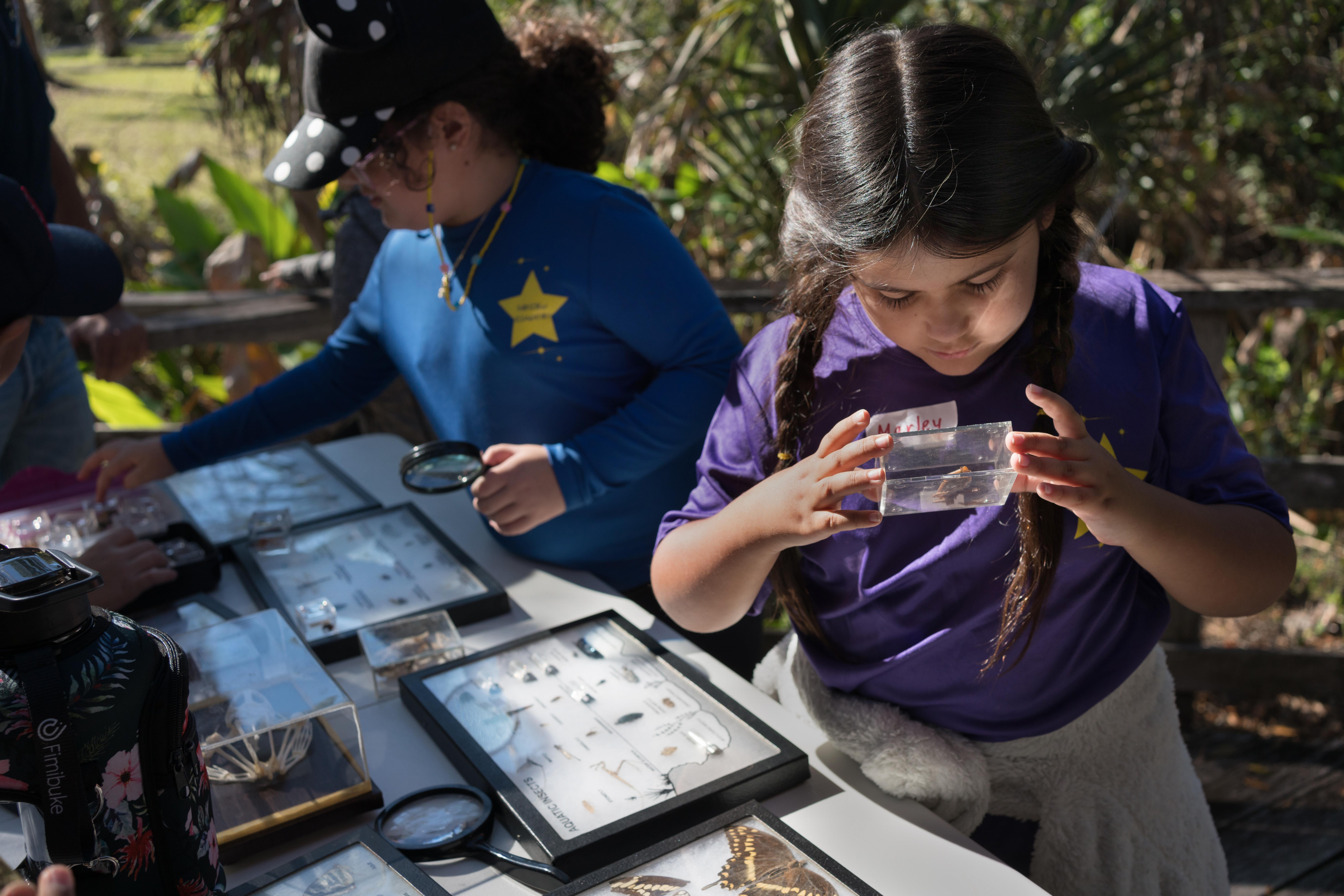 students looking at insects under glass