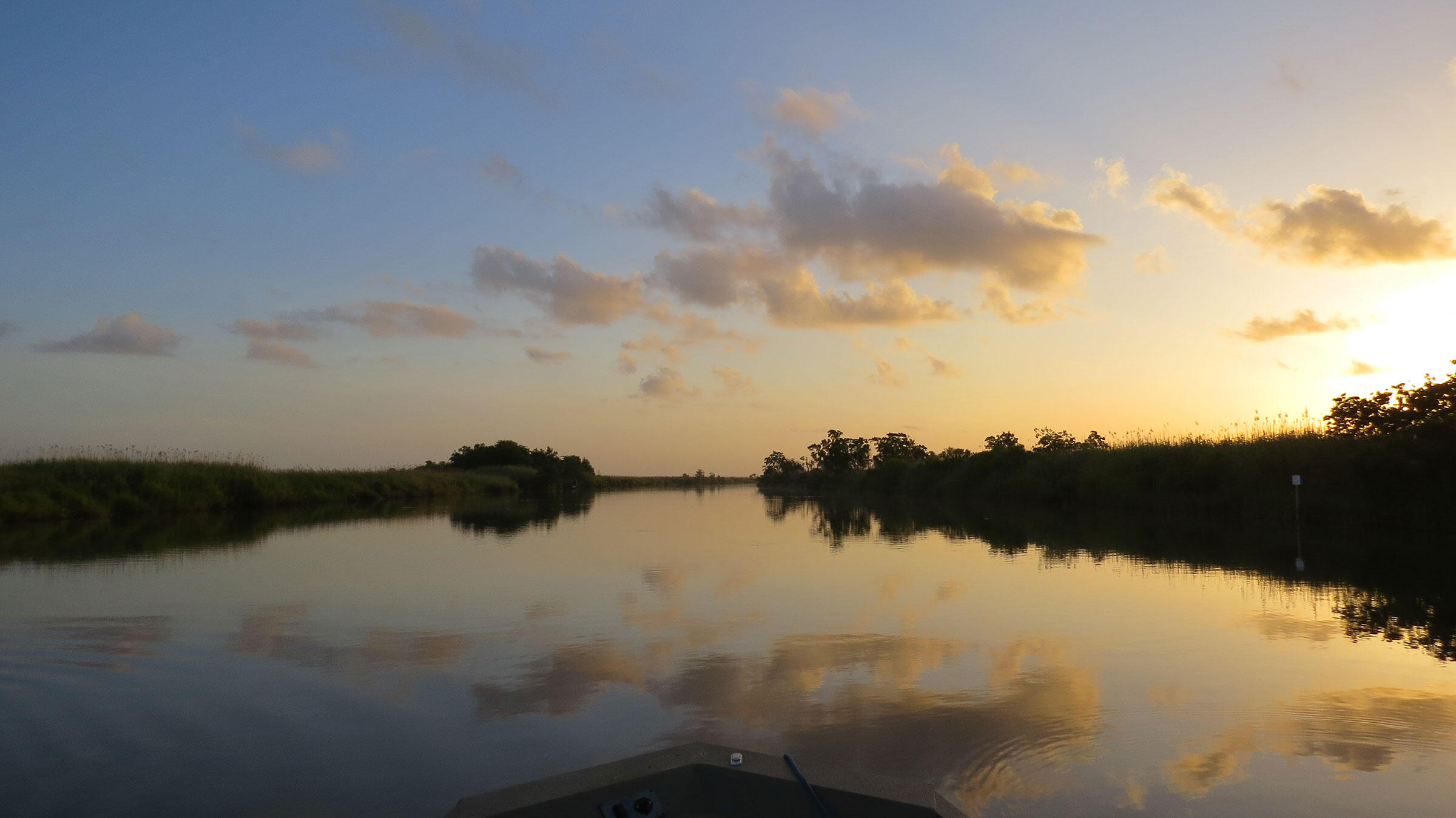 Paul J. Rainey Wildlife Sanctuary