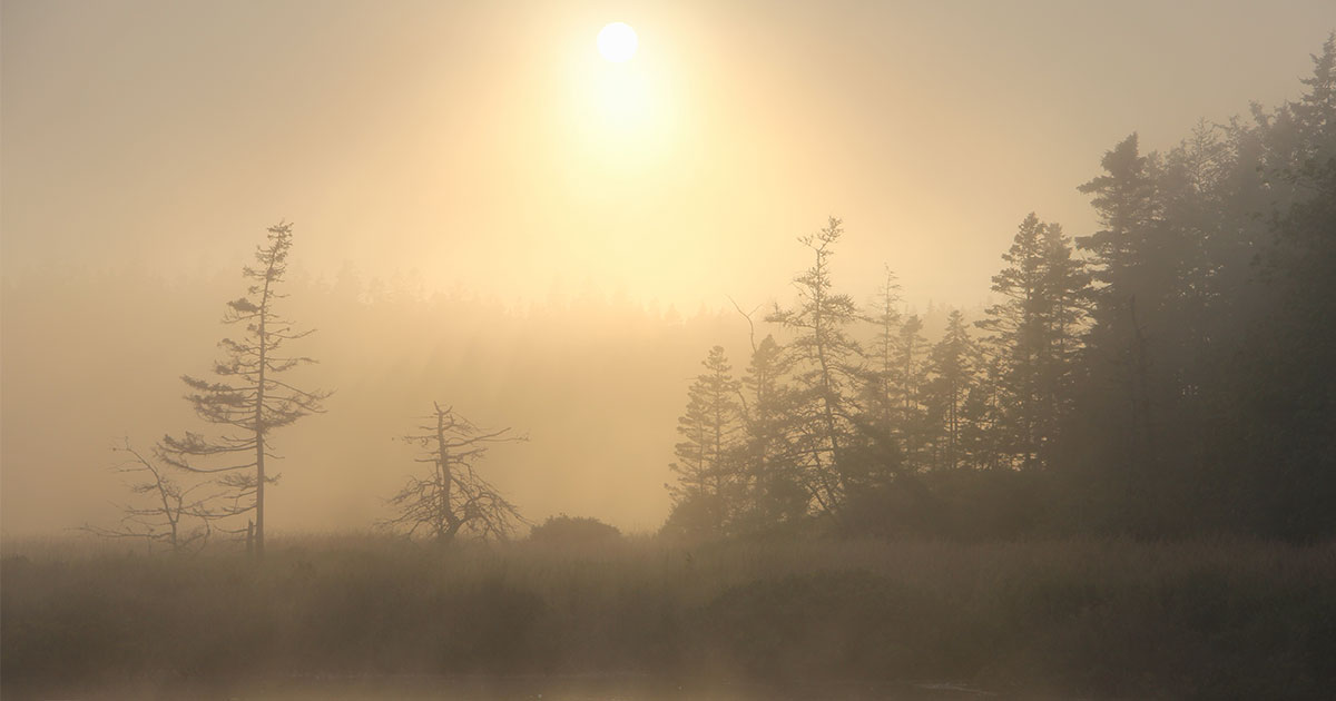 From the Archives: Frank Graham’s ‘Of Dreams and Dread’ From the Archives: Frank Graham’s ‘Of Dreams and Dread’