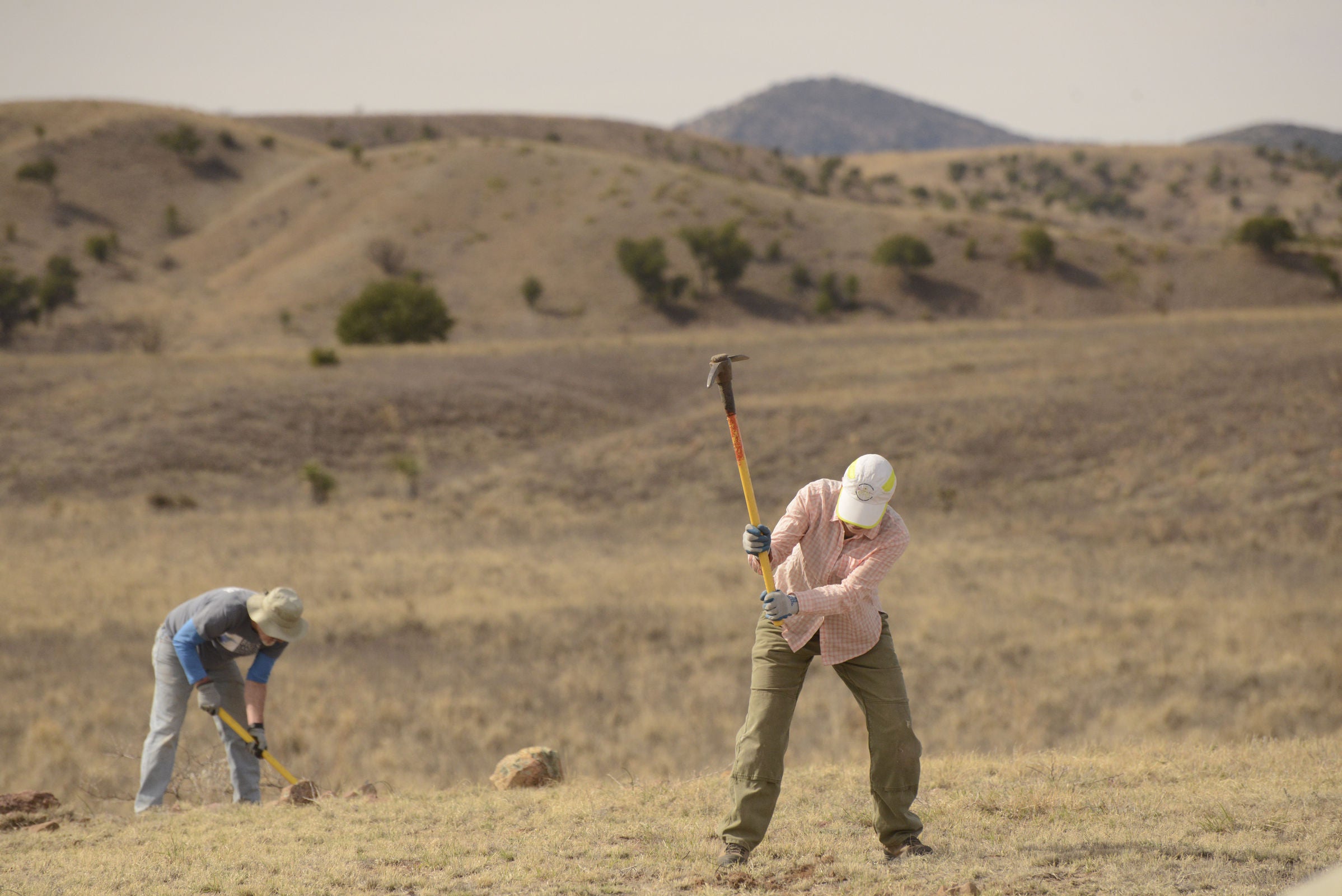 sierra club volunteers