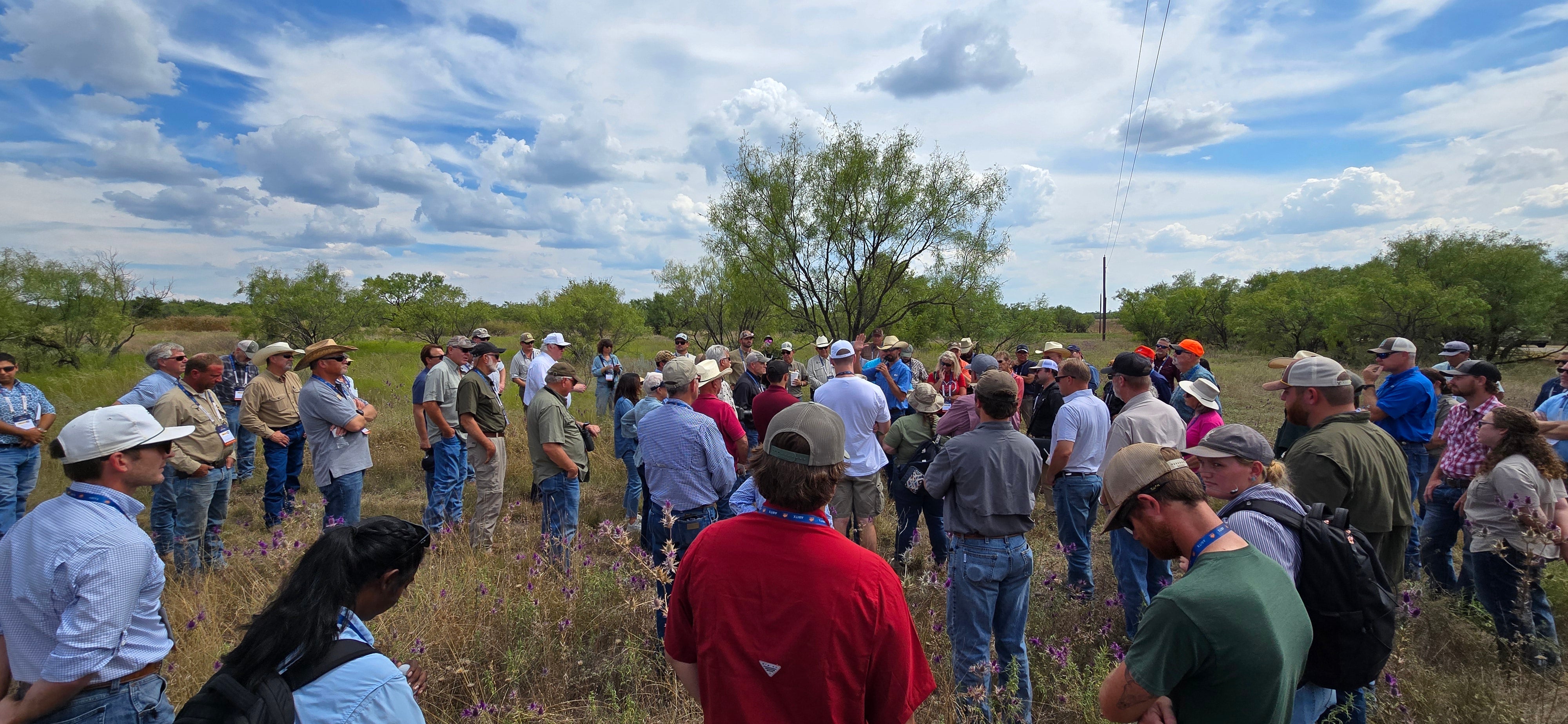 ACR Texas Quail Symposium