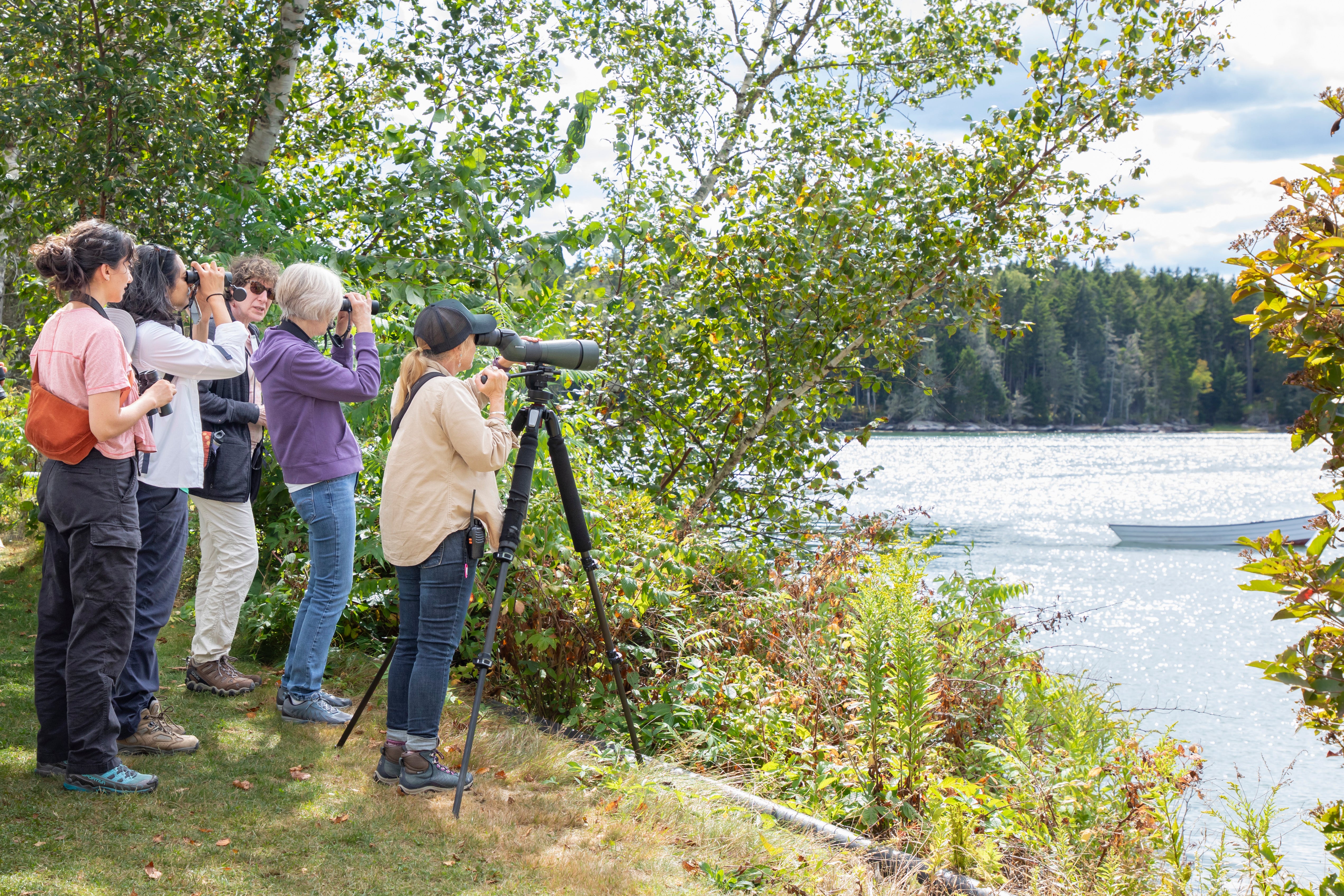 A group of people standing along the shoreline looking through bincoluars.