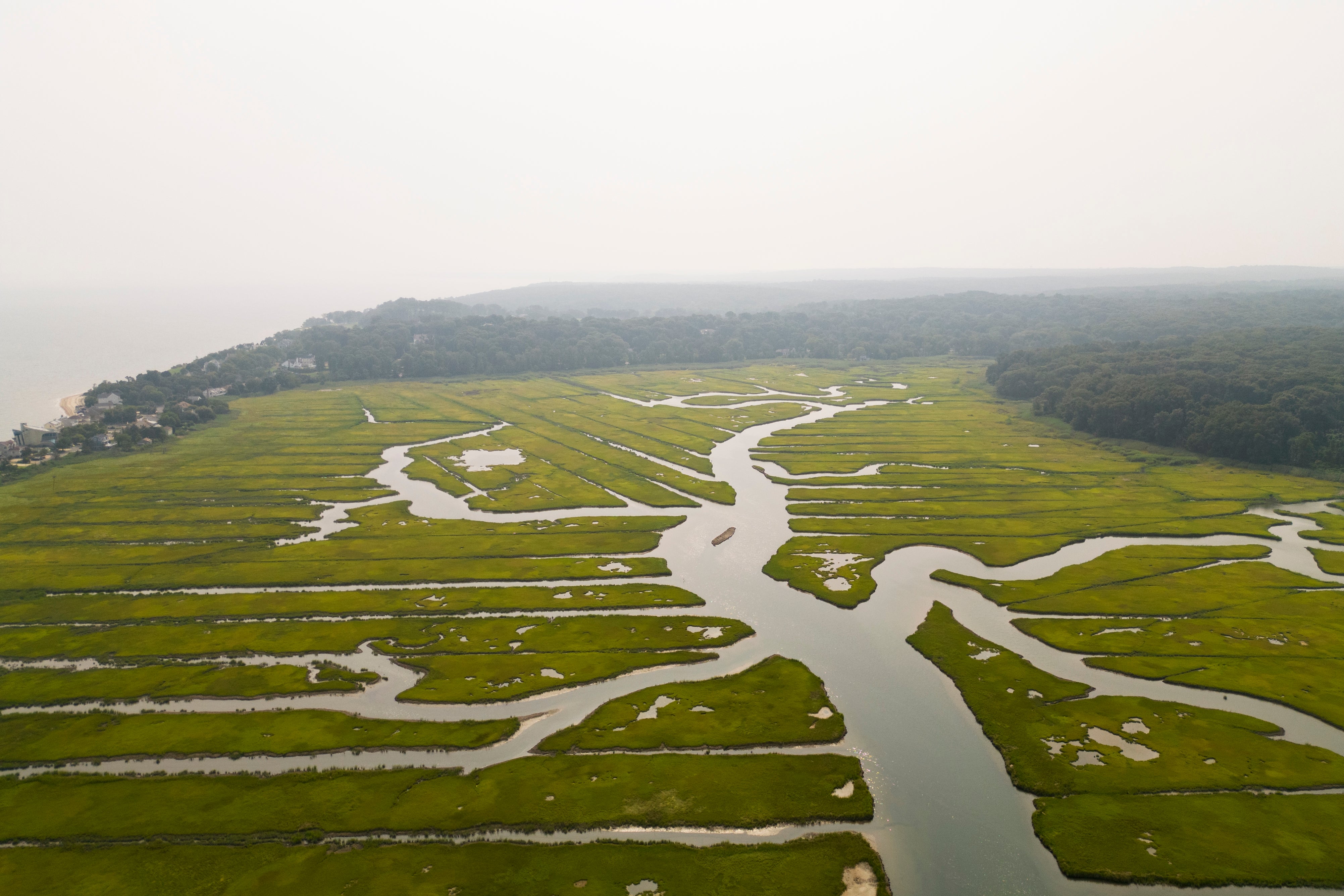 An aerial view of the marsh shows a large green area with at least 30 water-filled ditches running across it.