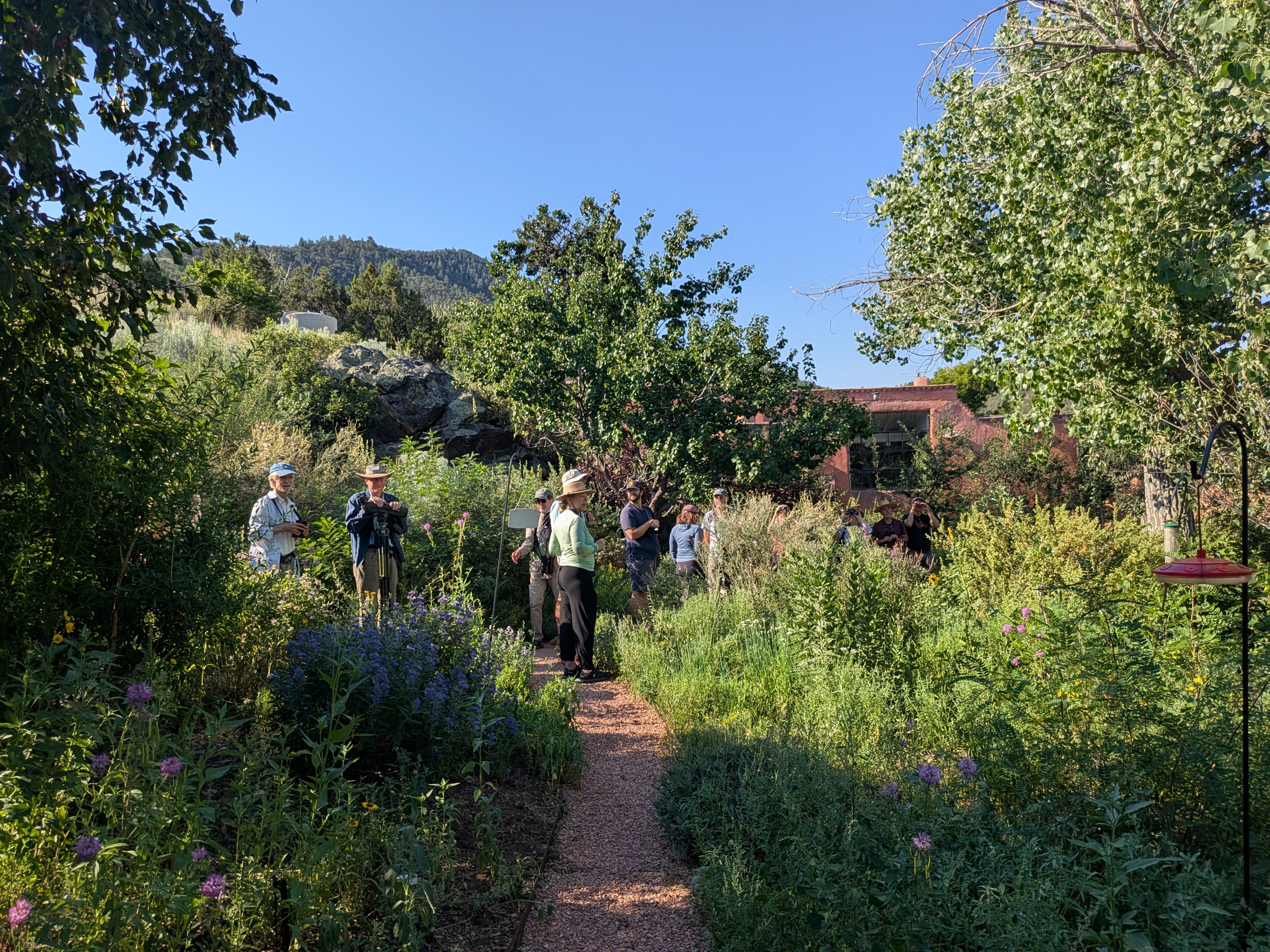 Birders in the garden at Randall Davey