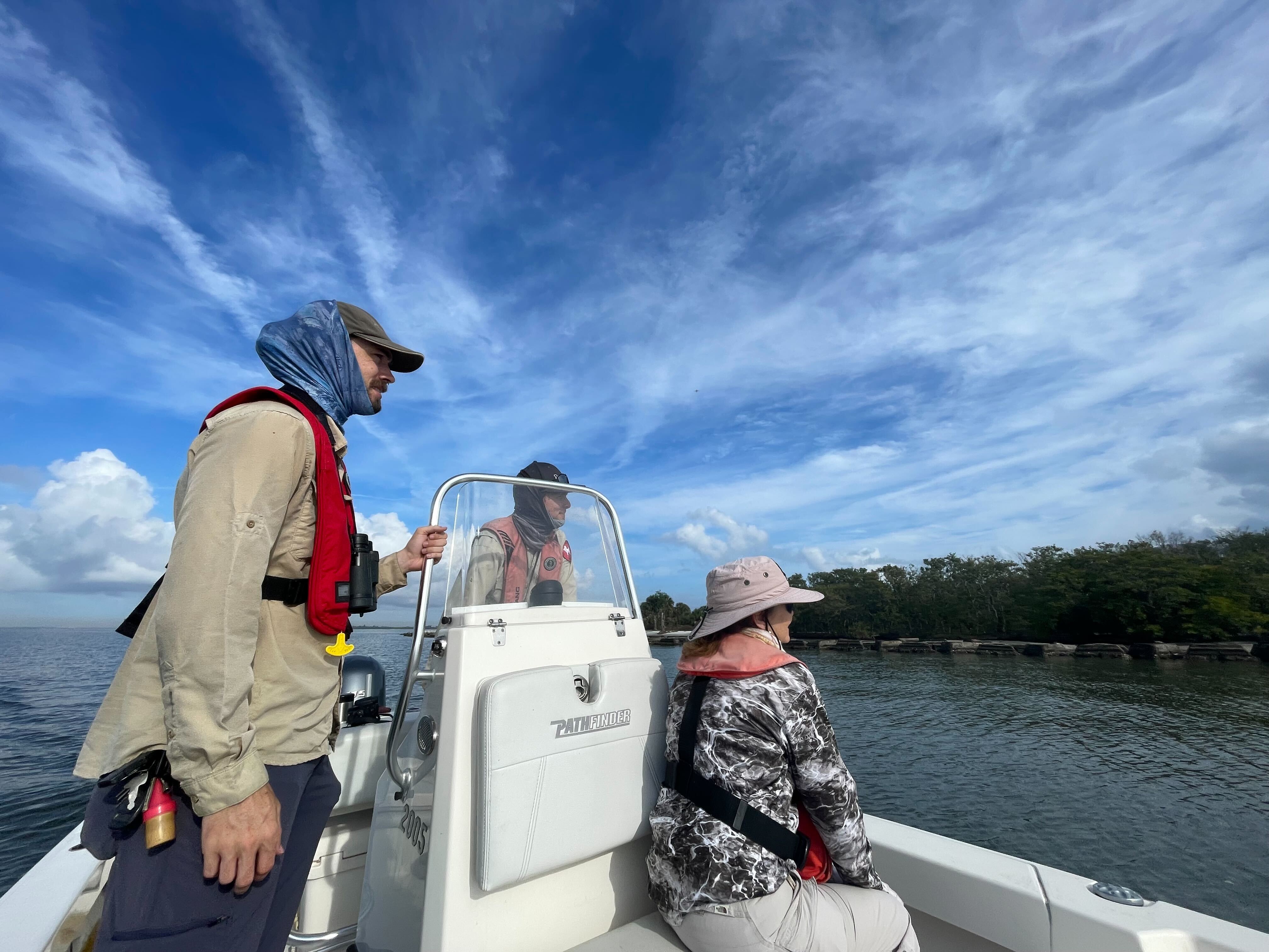 People in a boat looking at birds