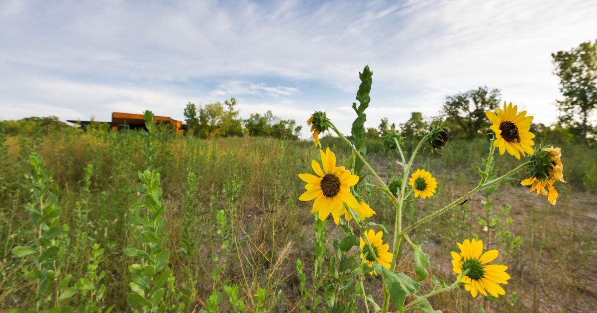 Trinity River Audubon Center photo from the official site