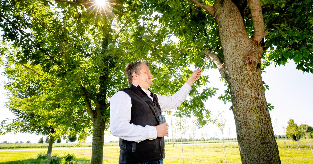 Got Beef With Cowbirds? This Researcher Wants to Change Your Mind Got Beef With Cowbirds? This Researcher Wants to Change Your Mind