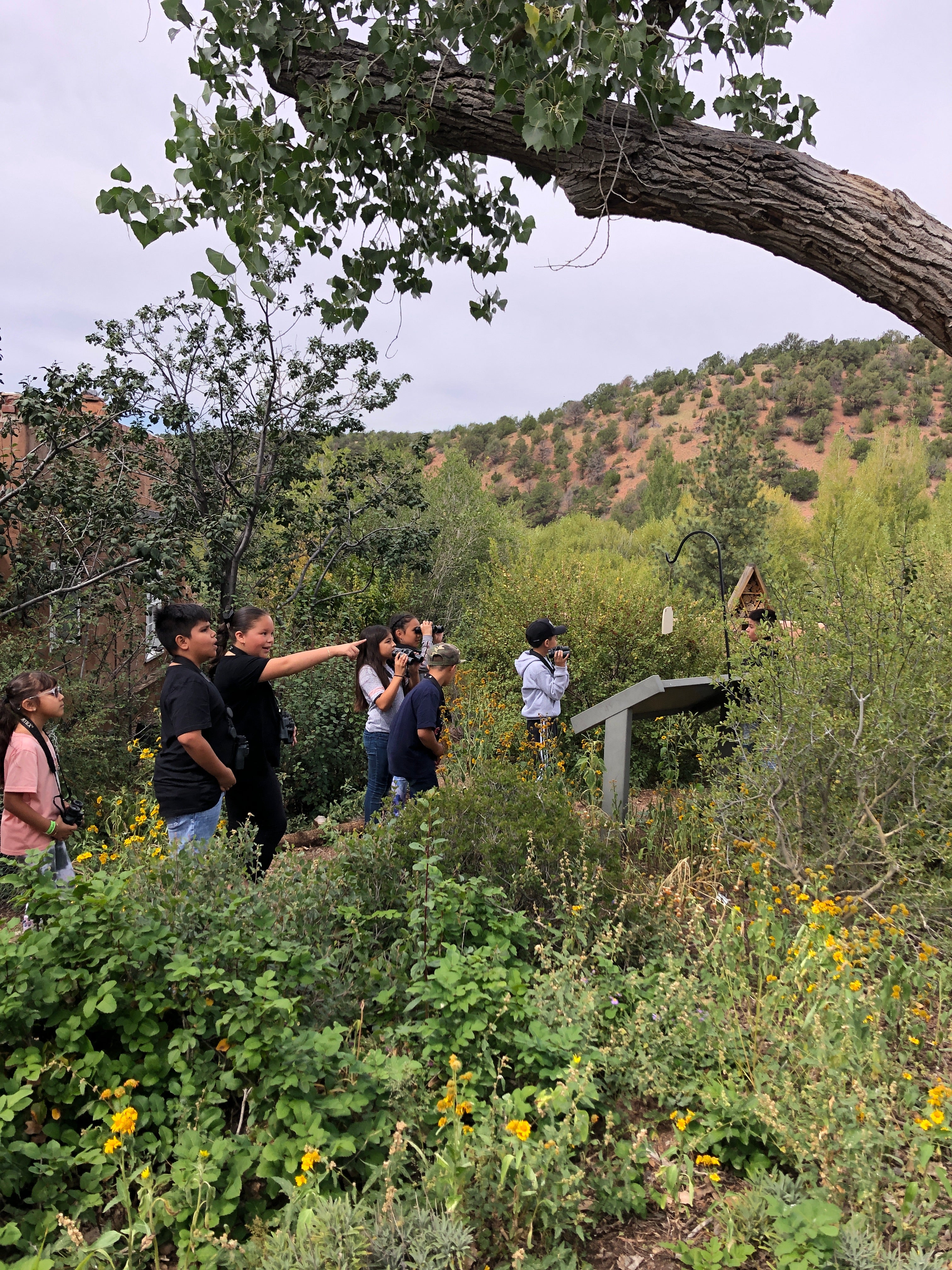 Students on an outdoor science field trip