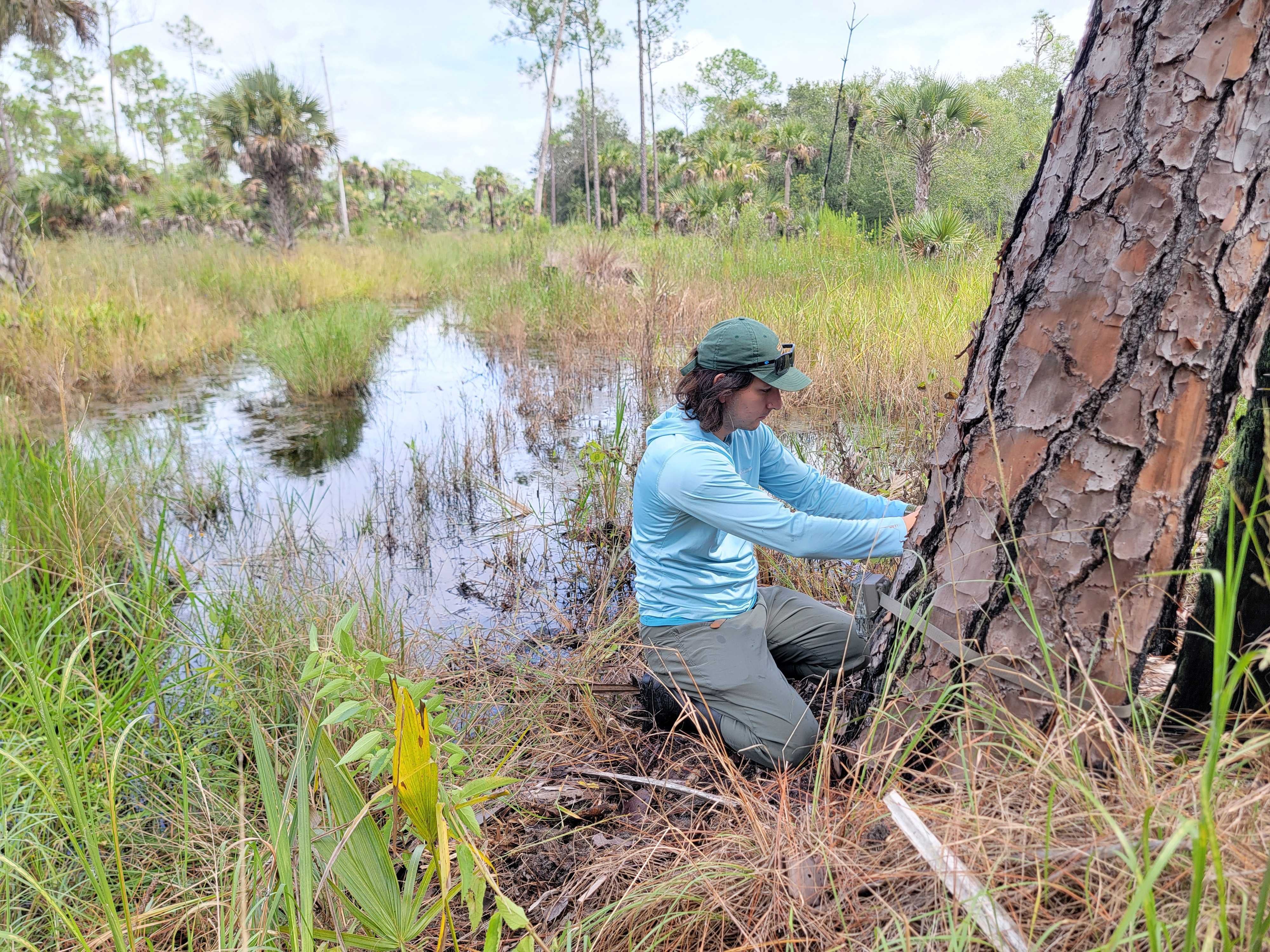 A person kneeling in front of a tree