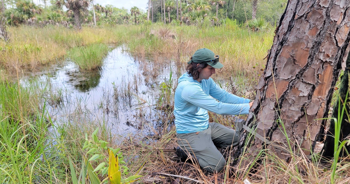 Audubon Staff Contributes 164,307 Wildlife Camera Photos to “SnapshotUSA” Program Audubon Staff Contributes 164,307 Wildlife Camera Photos to “SnapshotUSA” Program