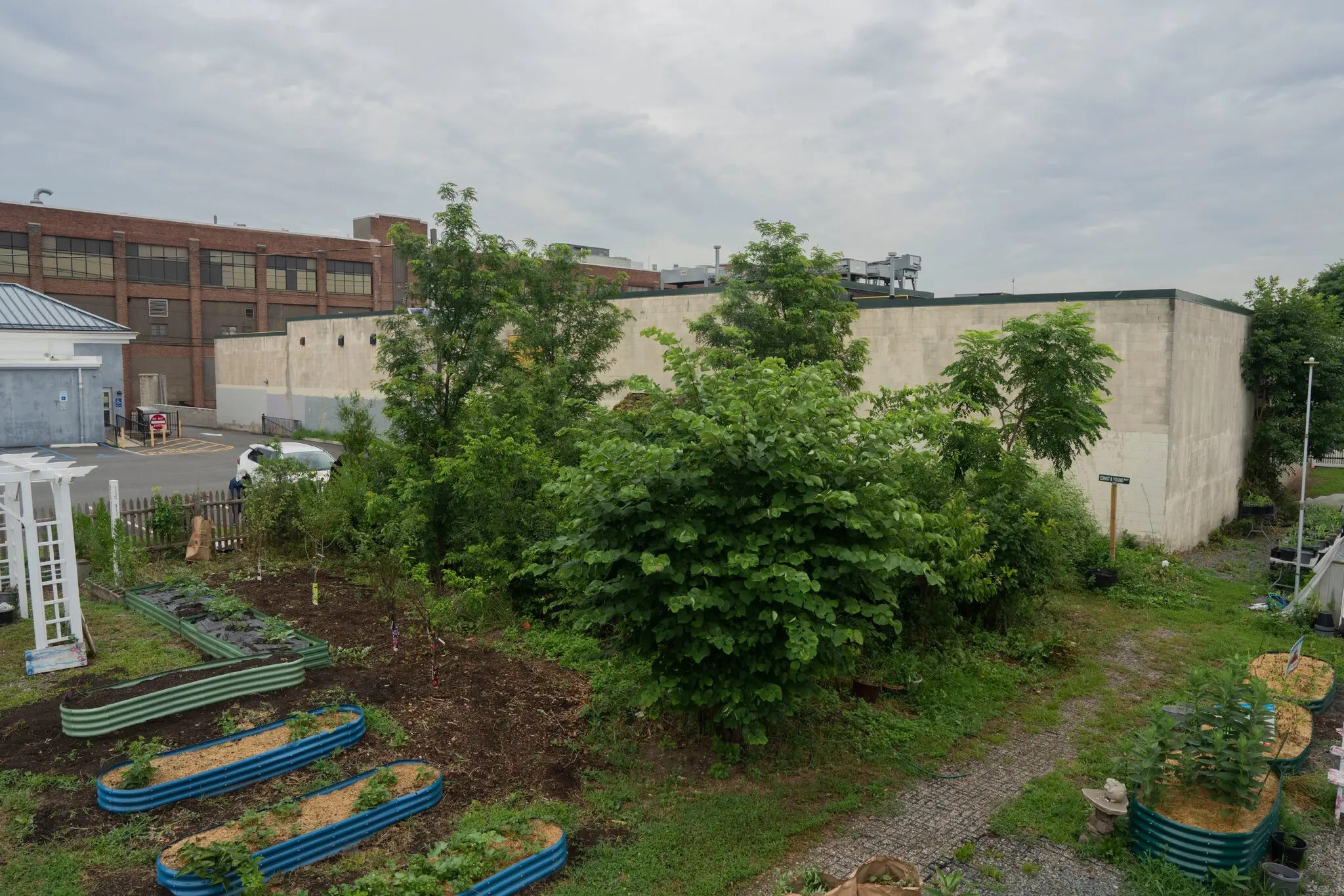 A patch of garden beds, shrubs, and trees abut a parking lot and library. 