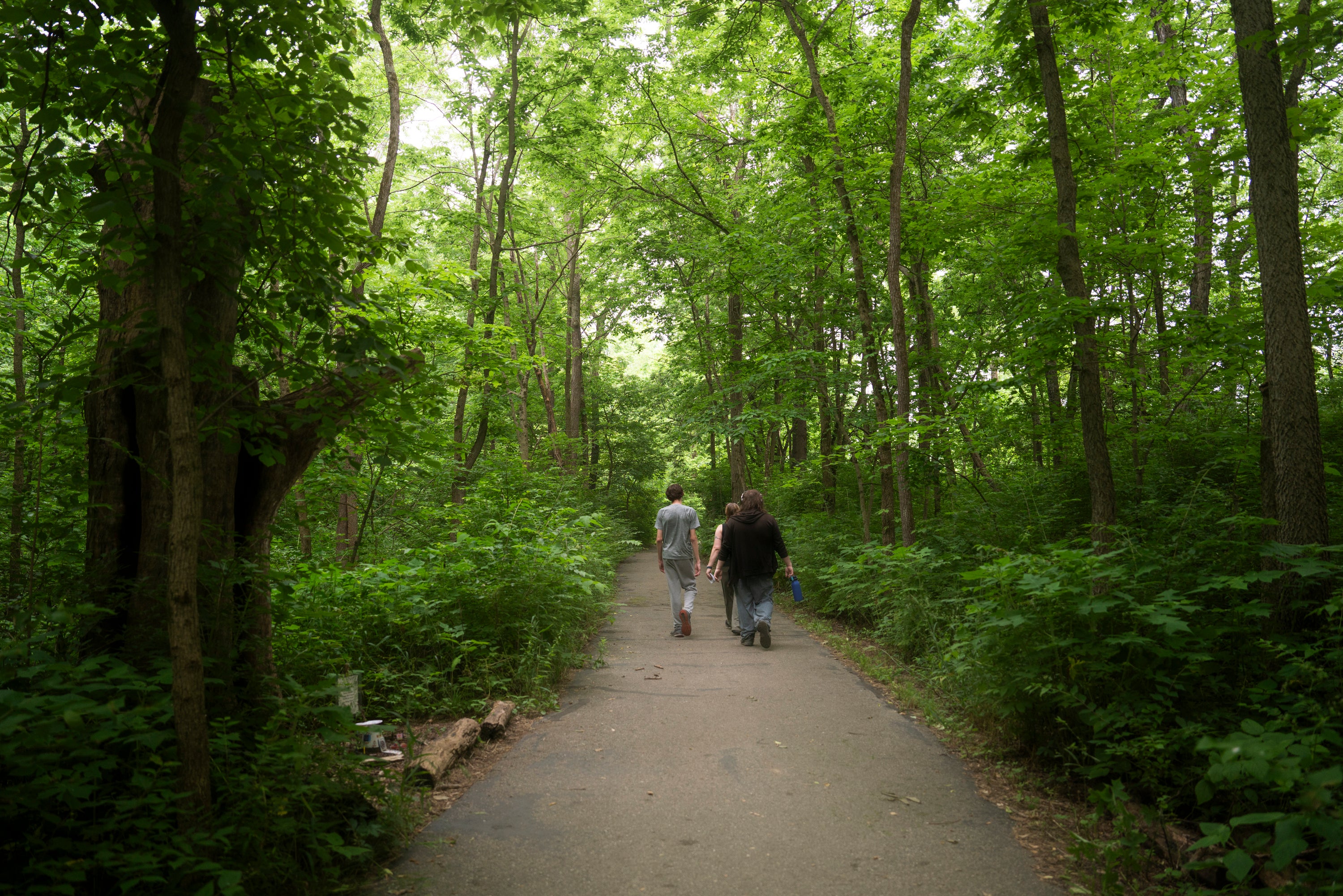 Two people walking along a trail in a leafy forest