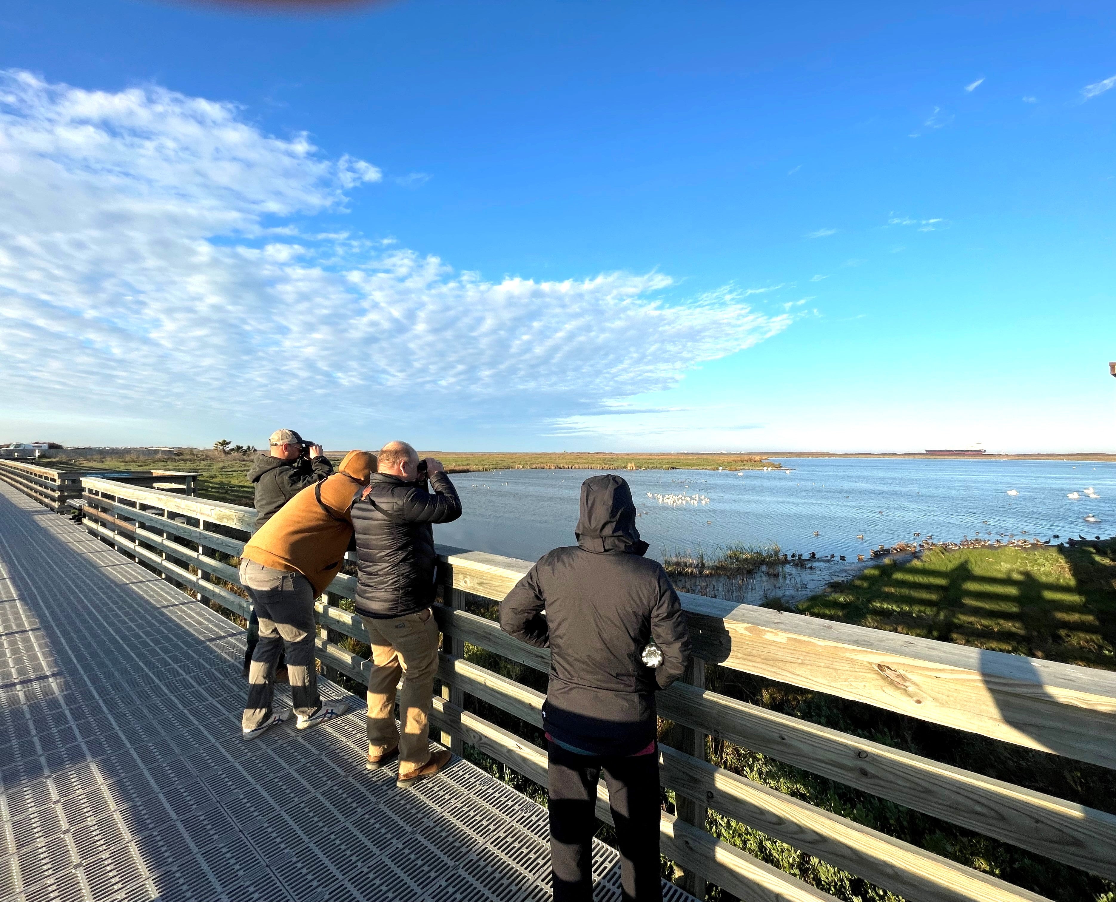 Bird City Texas - Port Aransas